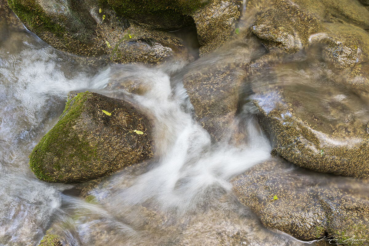 " The Passage of Time"