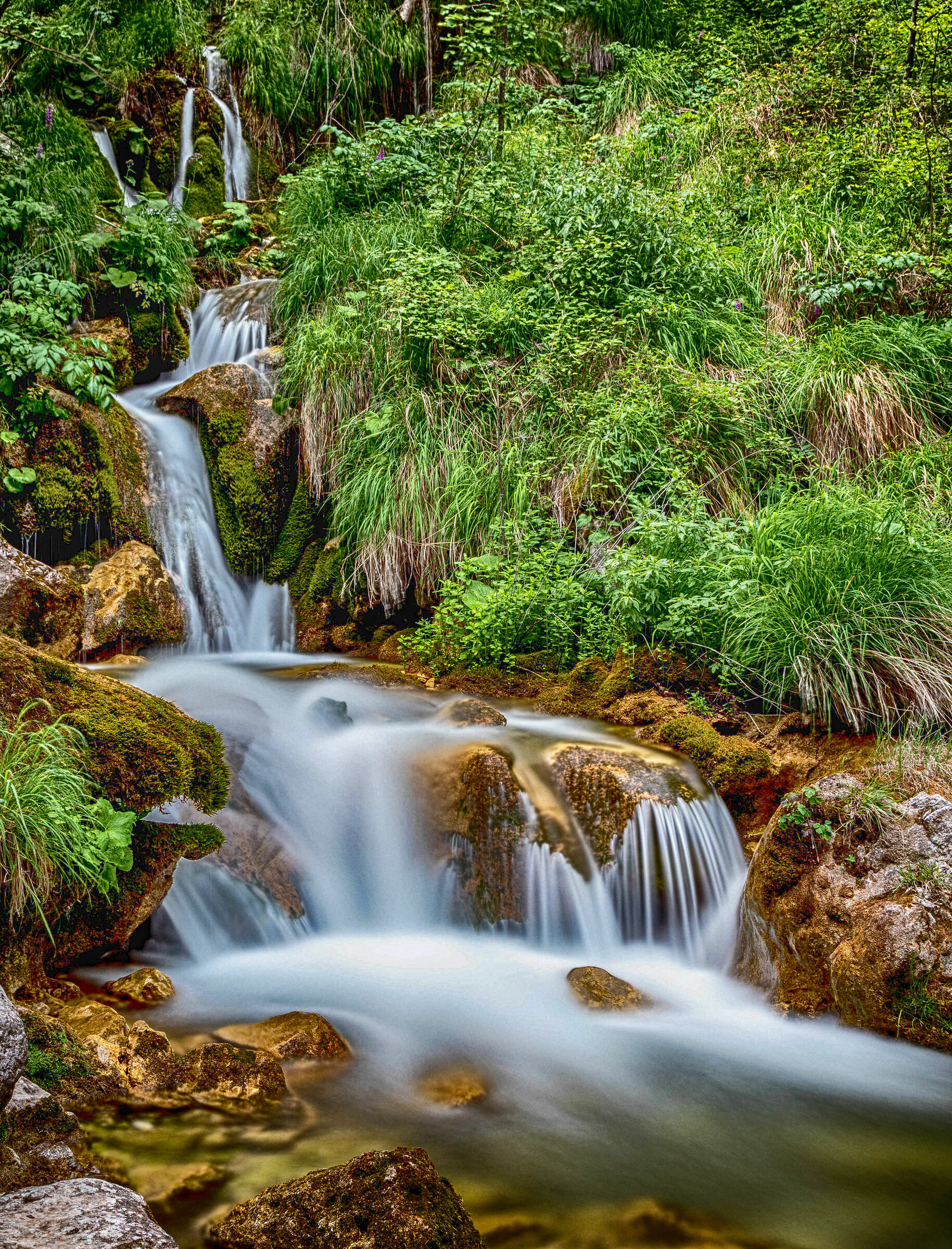 Zompo The Poplar Nature Reserve