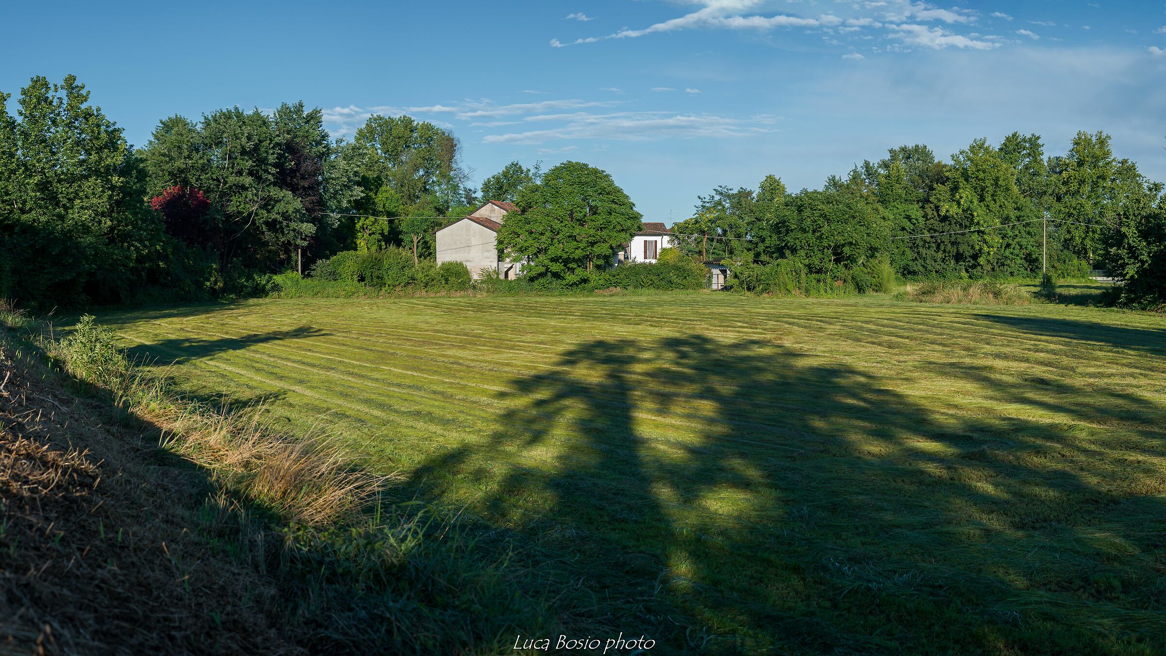 The scent of freshly cut grass