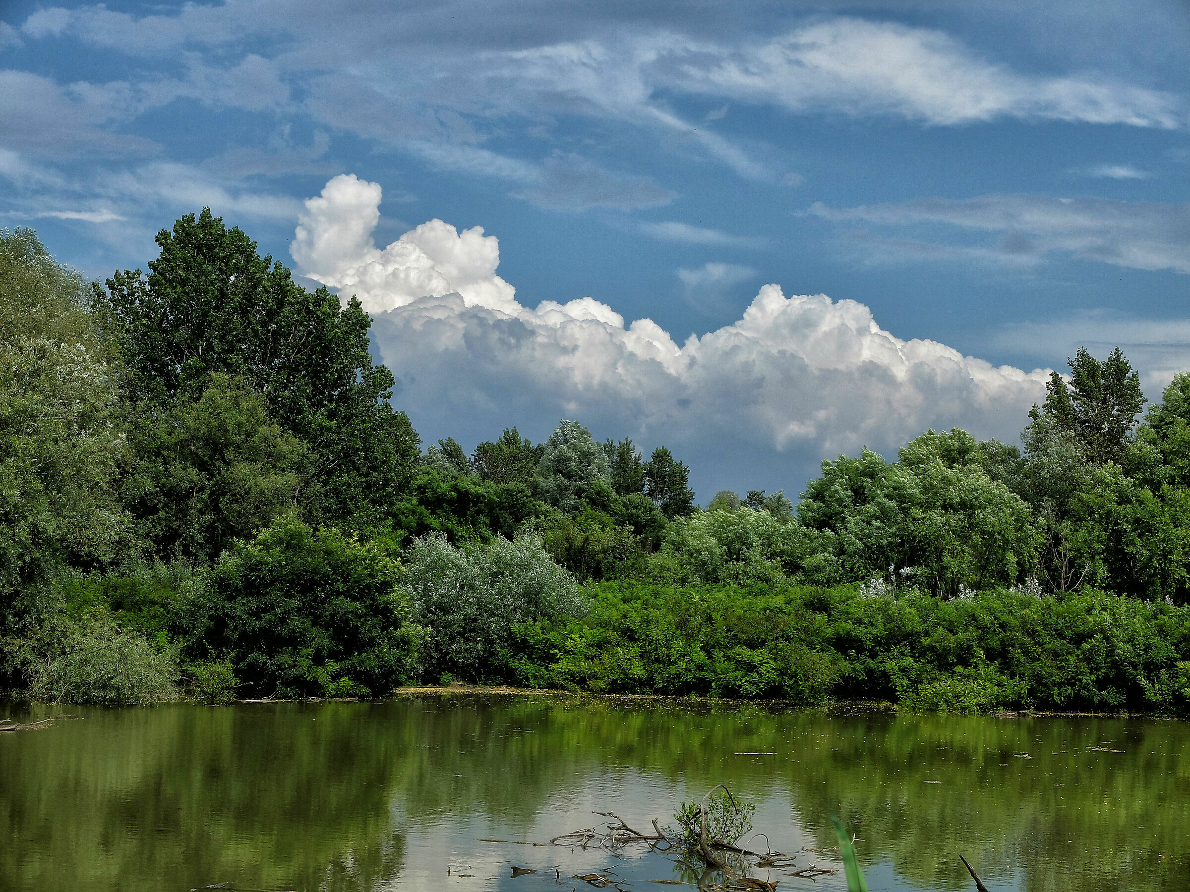 lanche of azzanello - river oglio