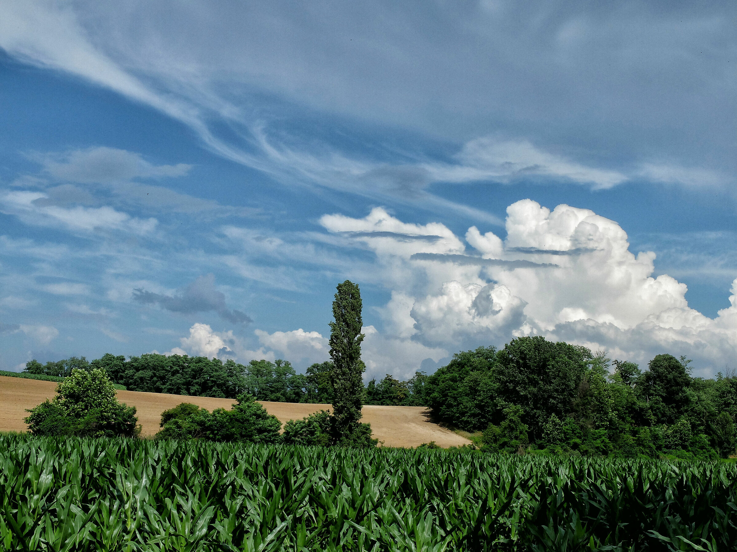 the terrace of the valley of the oil