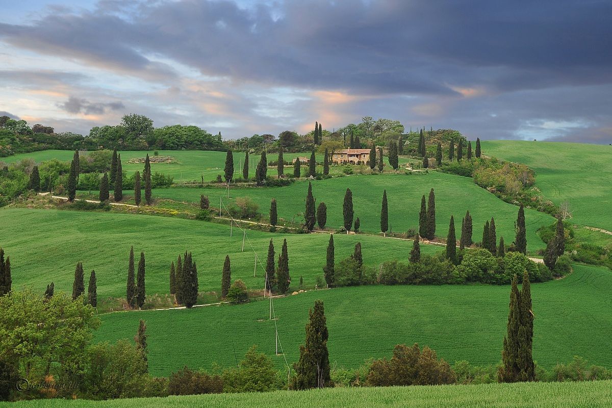 Val D'Orcia