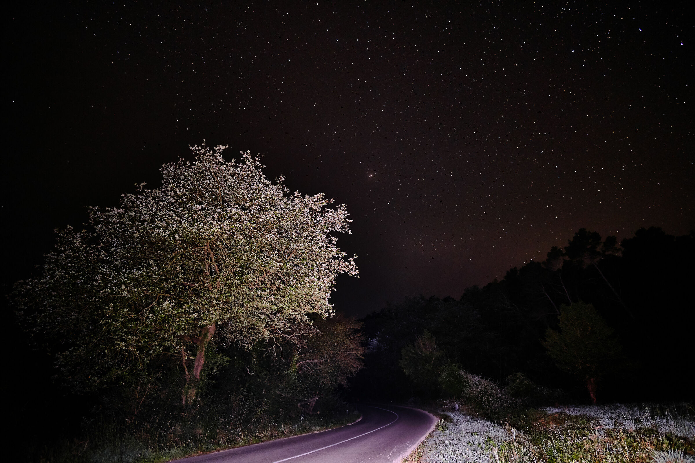 Street to the milky way