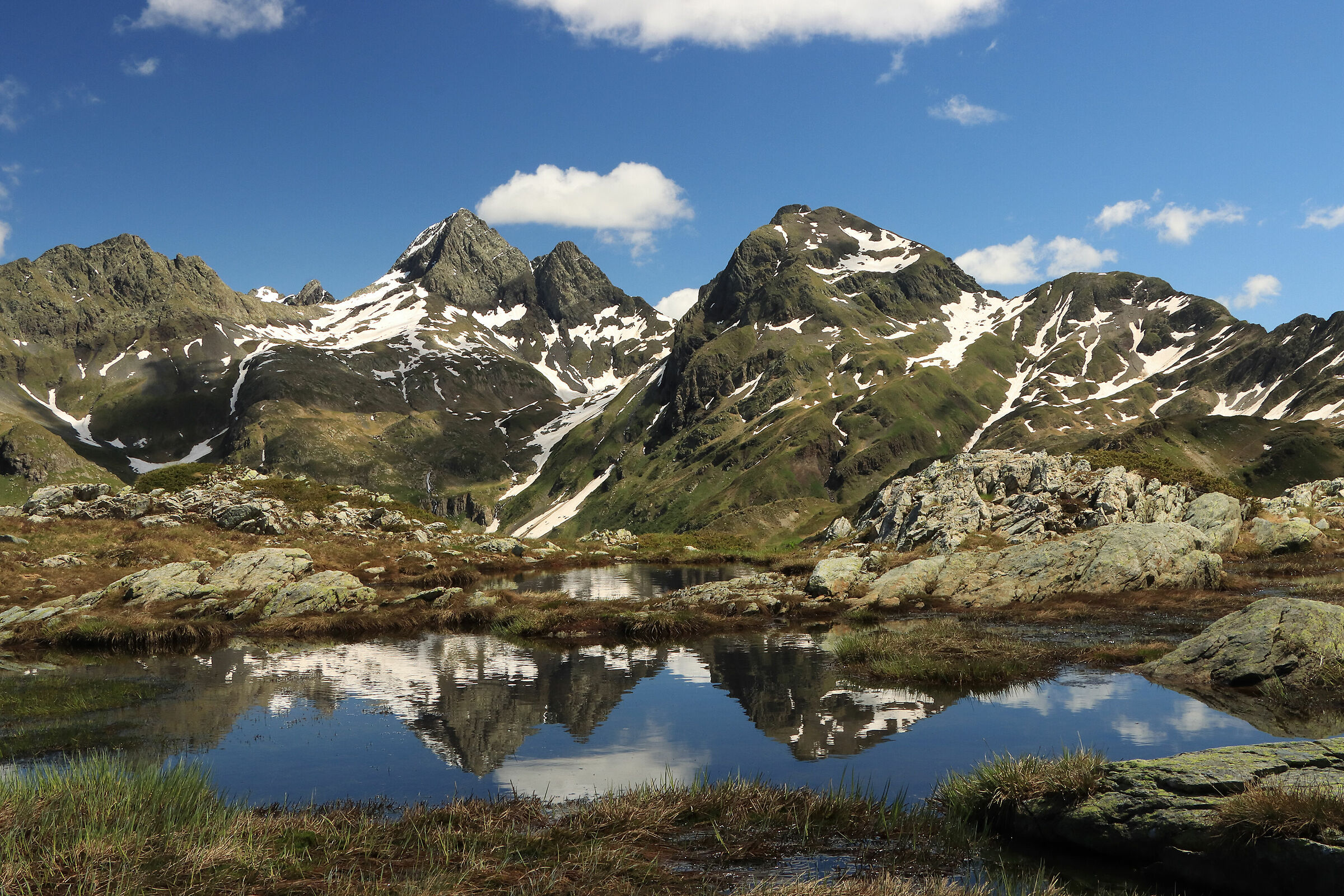 i "diavoli" a primavera