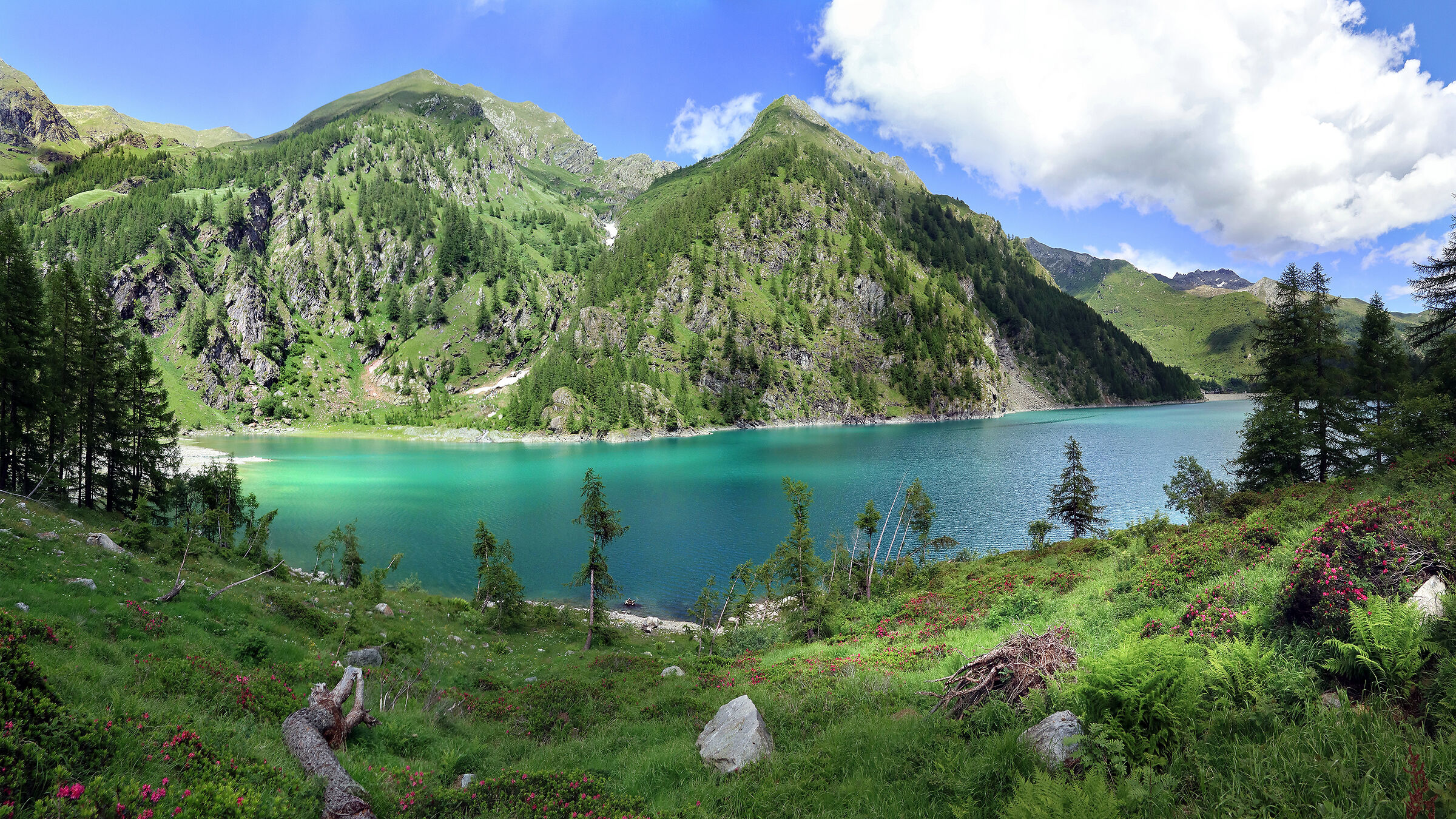 la luce gioca con le ombre