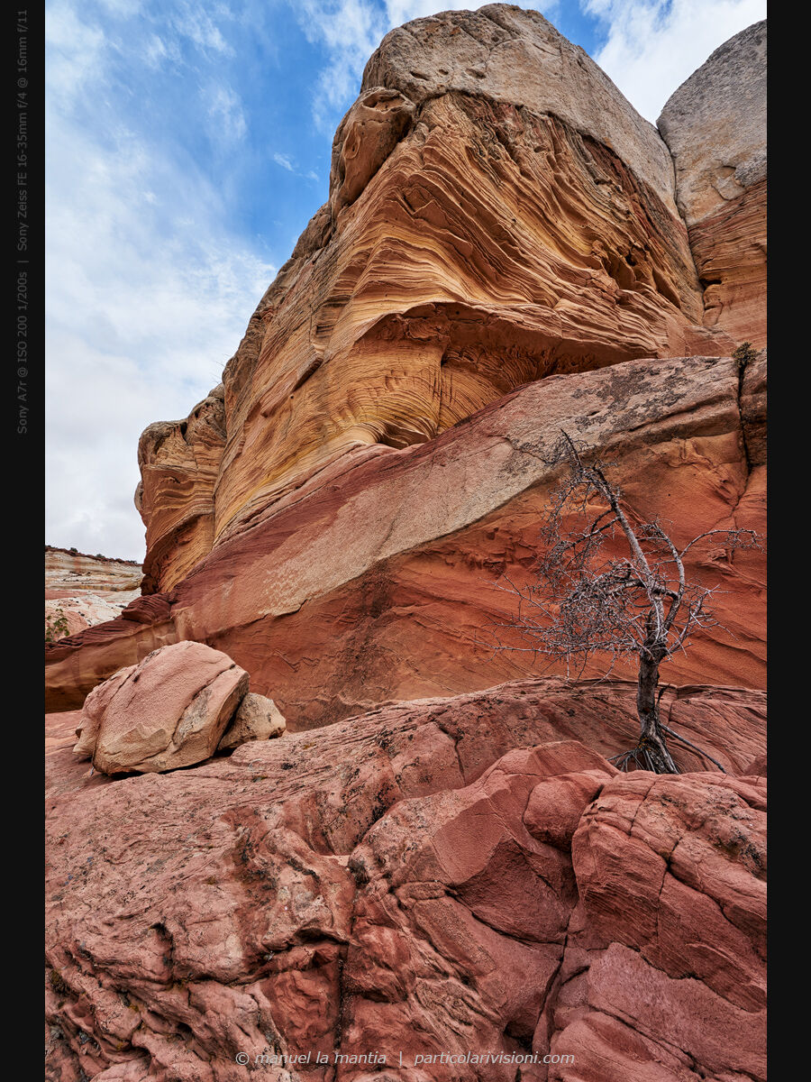 White Pocket, New1001