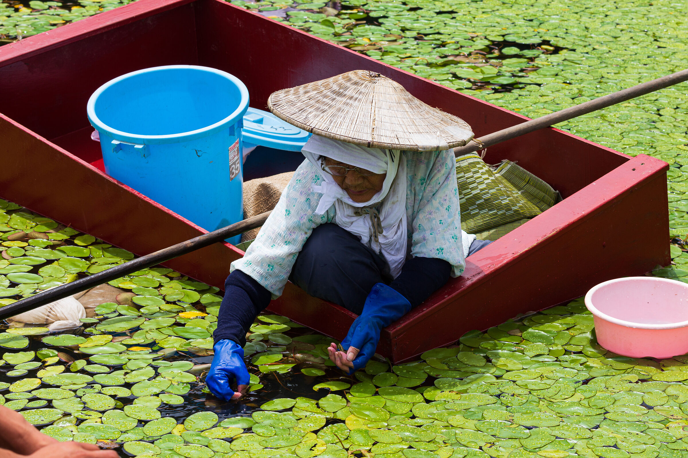 Karamushi Collection