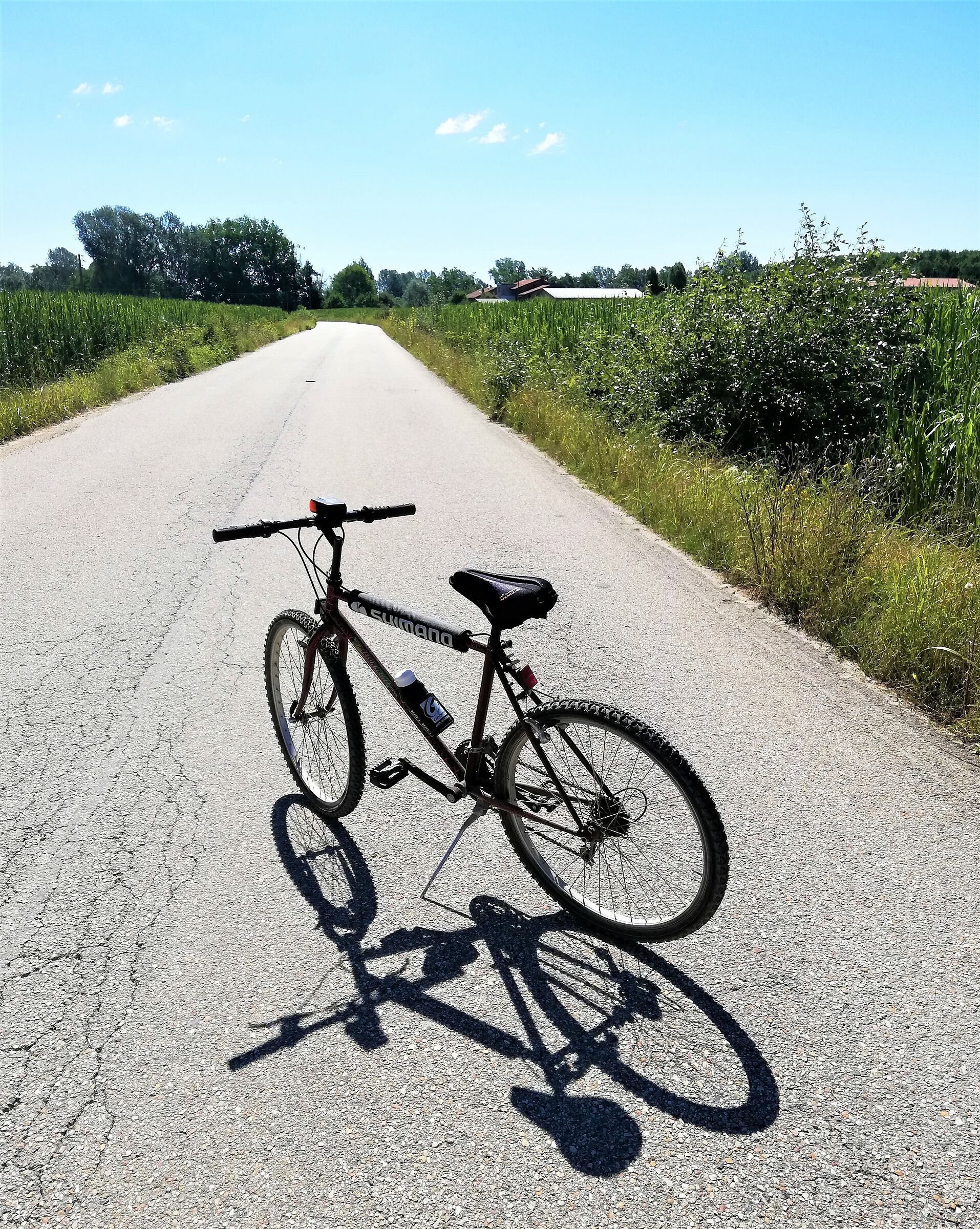 a healthy bike ride...