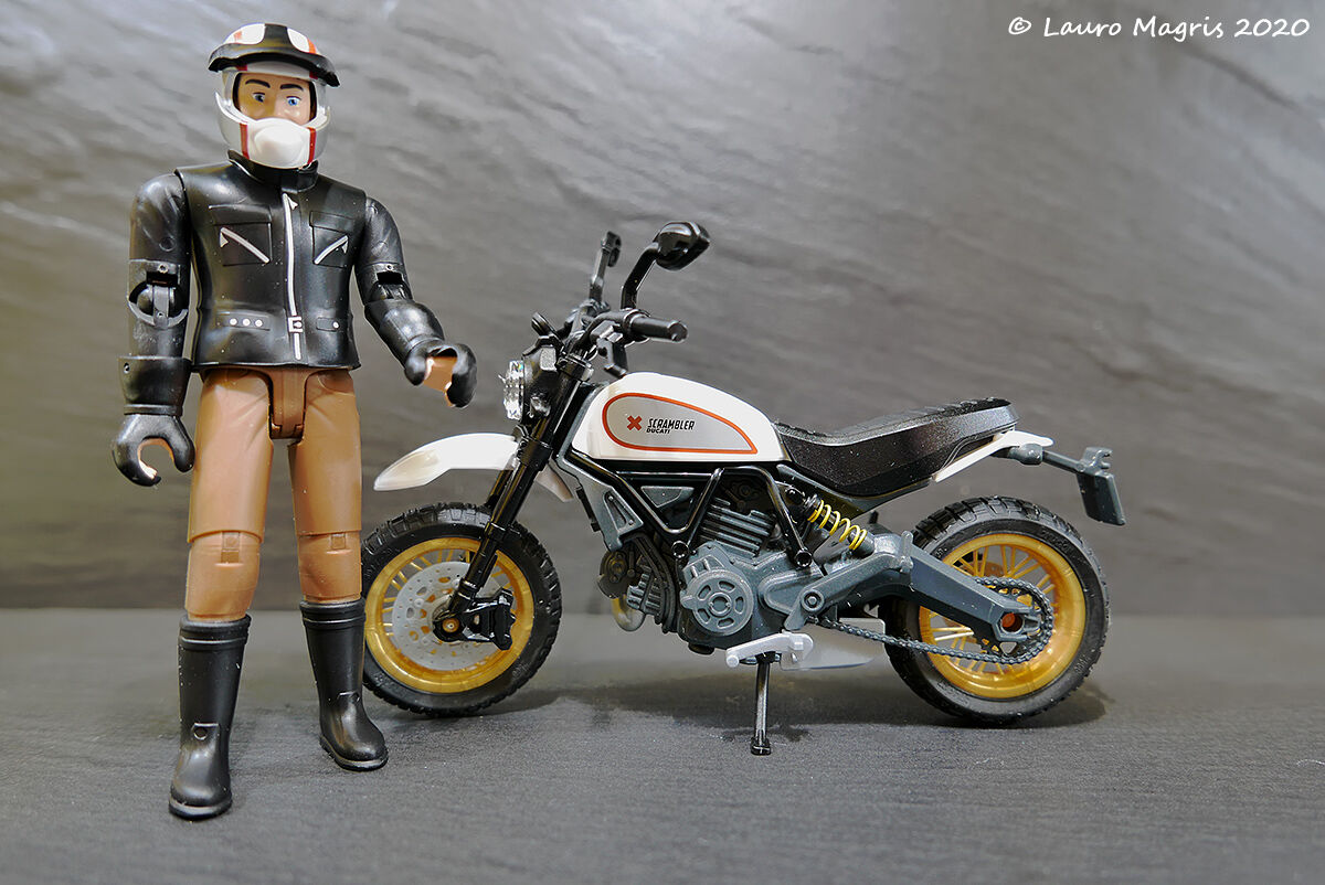 Moto Ducati Desert Sled