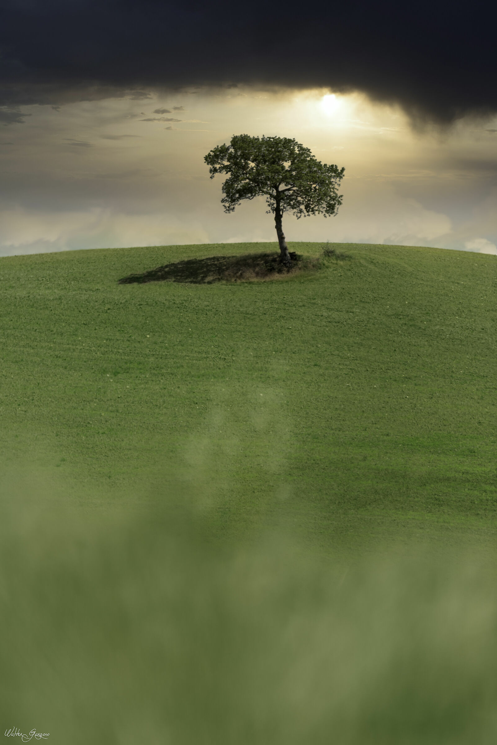 Better alone than badly accompanied