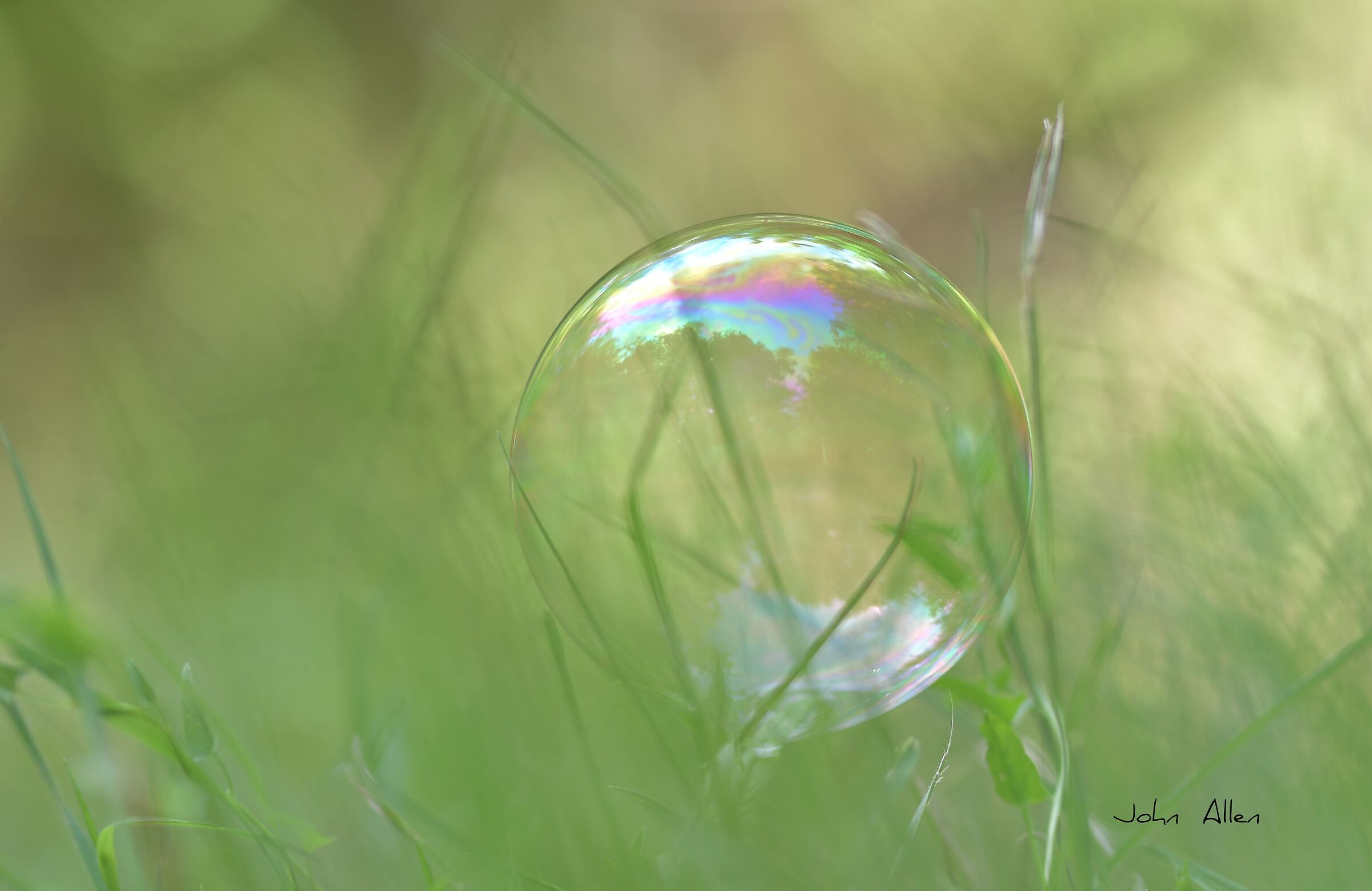 Soap bubble