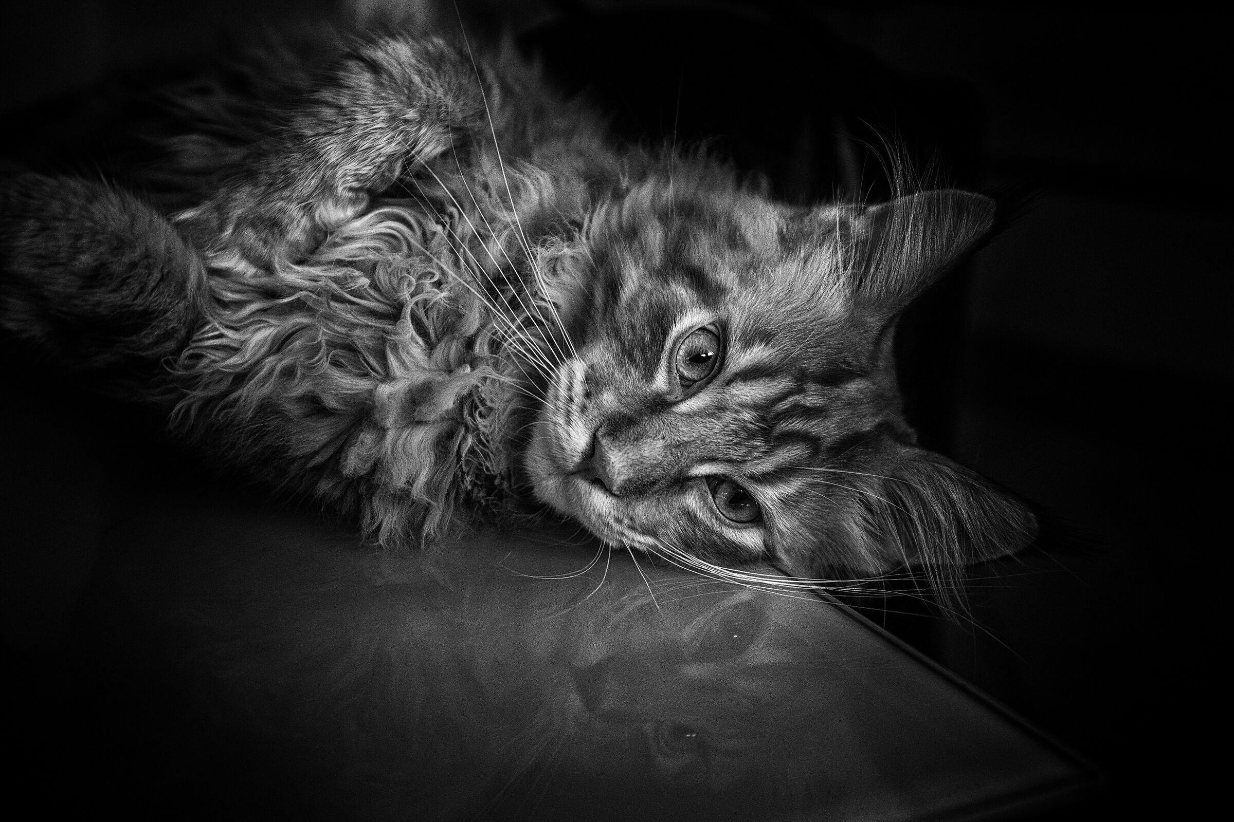 Firestorm X-Land.... Theodore for us