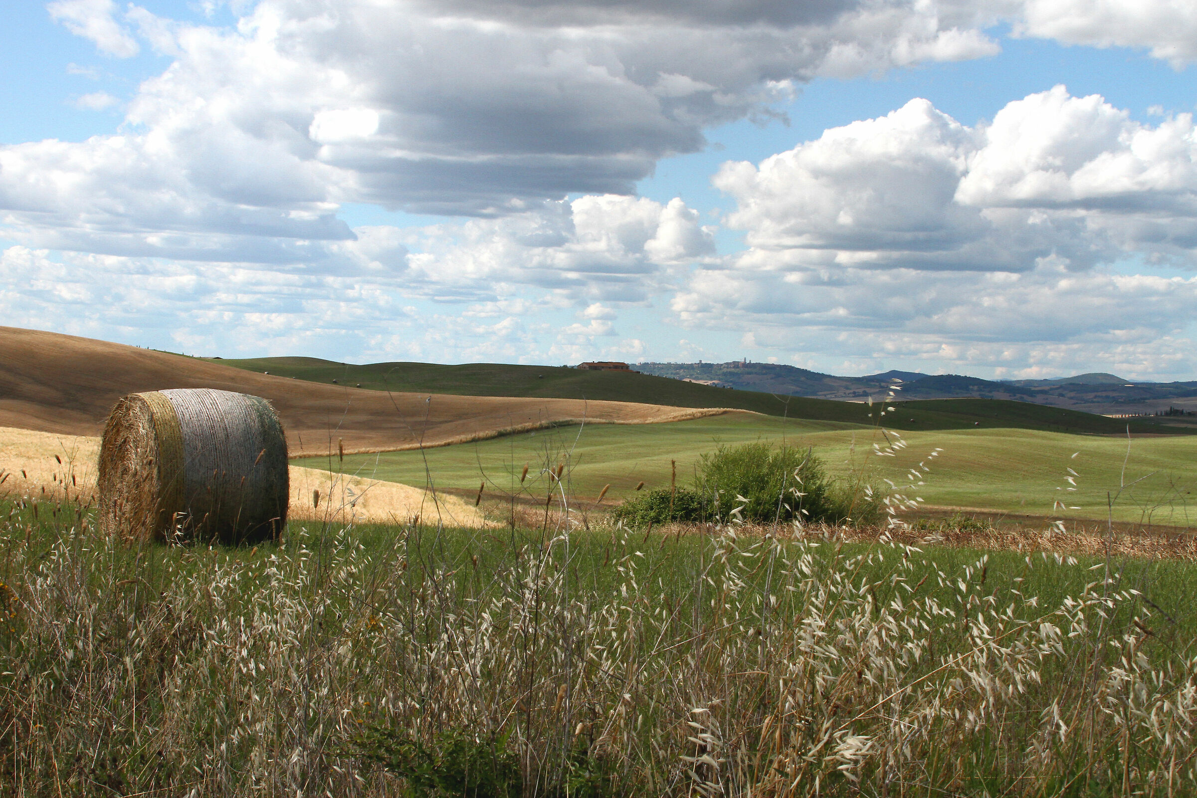 Val d'Orcia - Presso San Quirico (Siena)