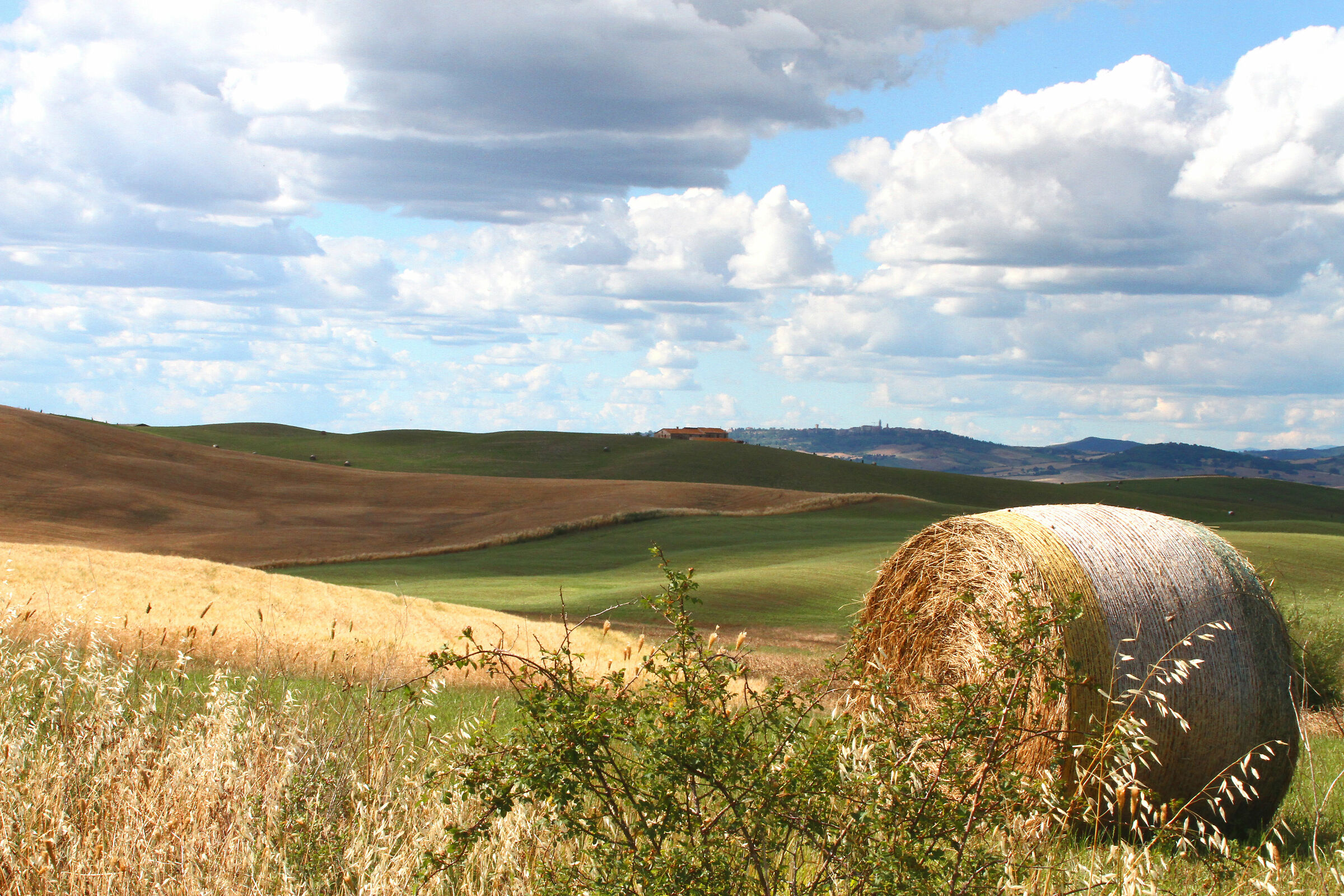 Val d'Orcia - Presso San Quirico (Siena)
