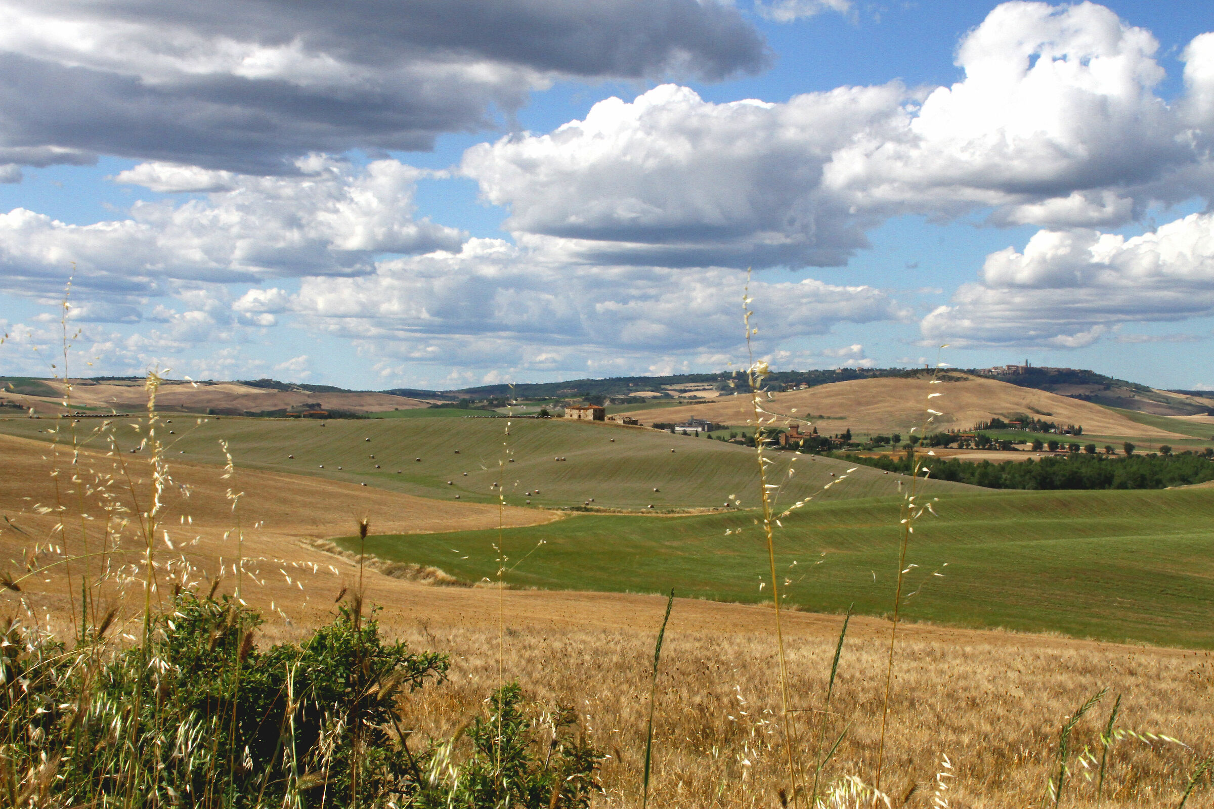 Val d'Orcia - Presso San Quirico (Siena)