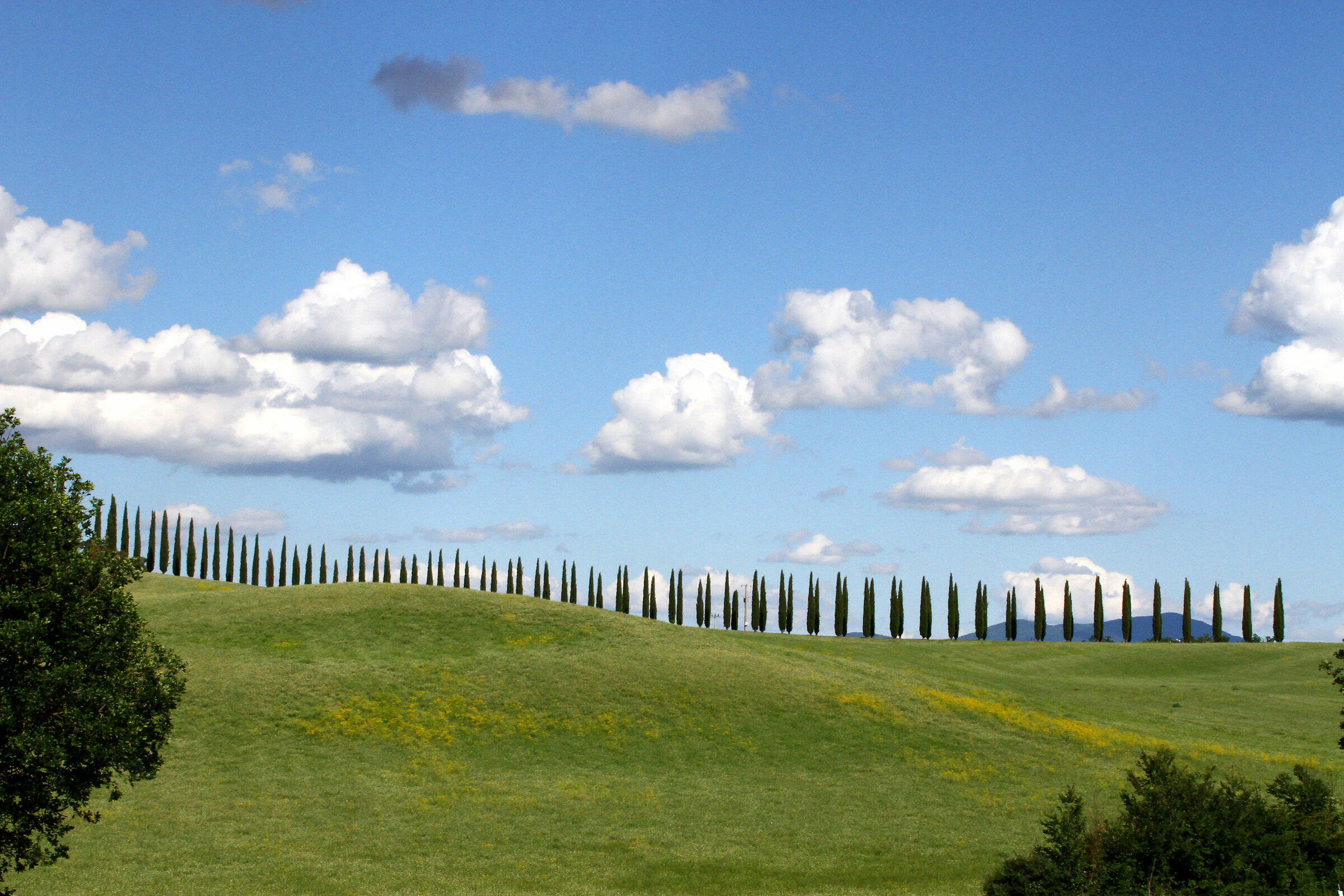 Val d'Orcia - Presso San Quirico (Siena)