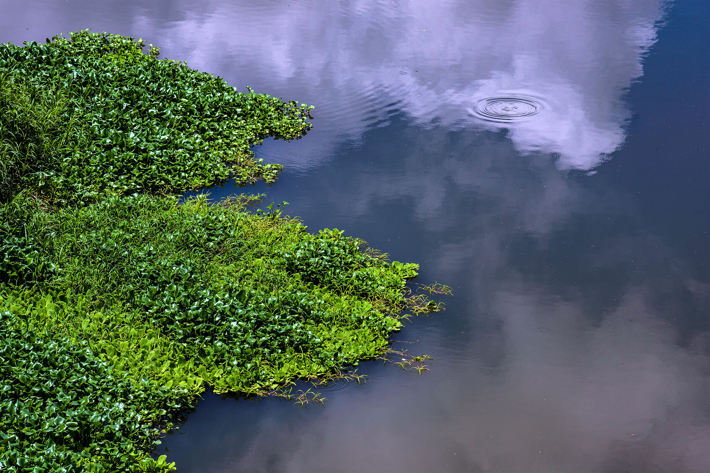Un cerchio nell?Acqua