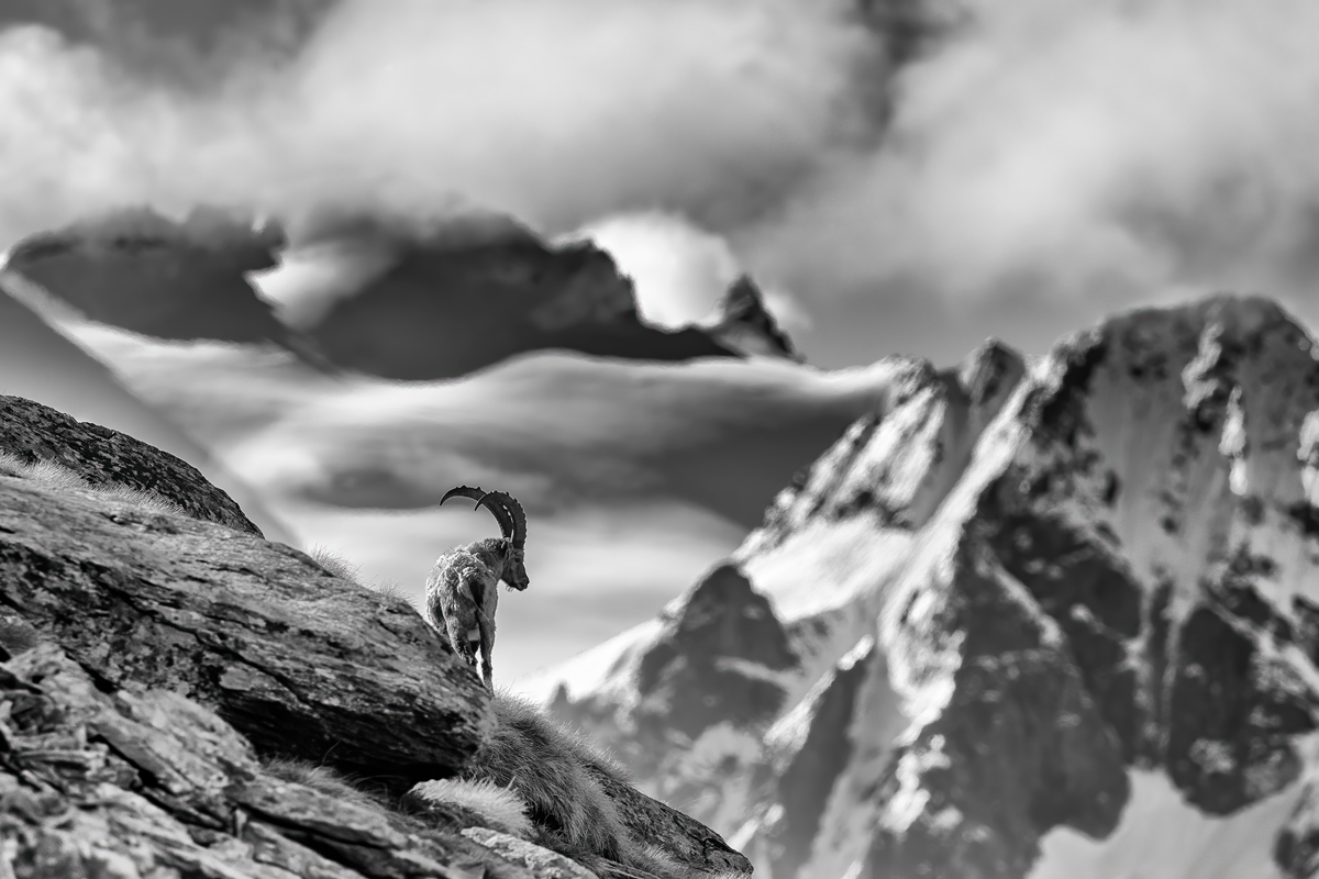 In the Kingdom of Silence