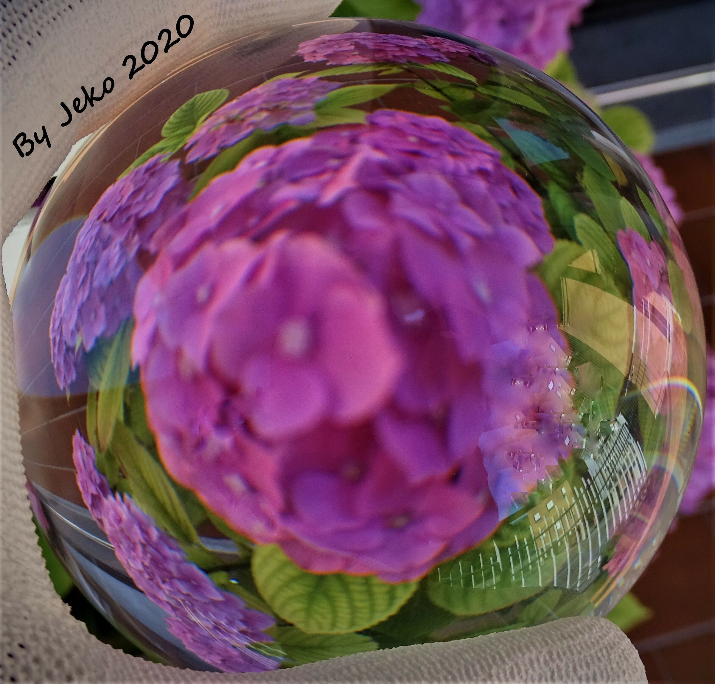 reflected flower on sphere.
