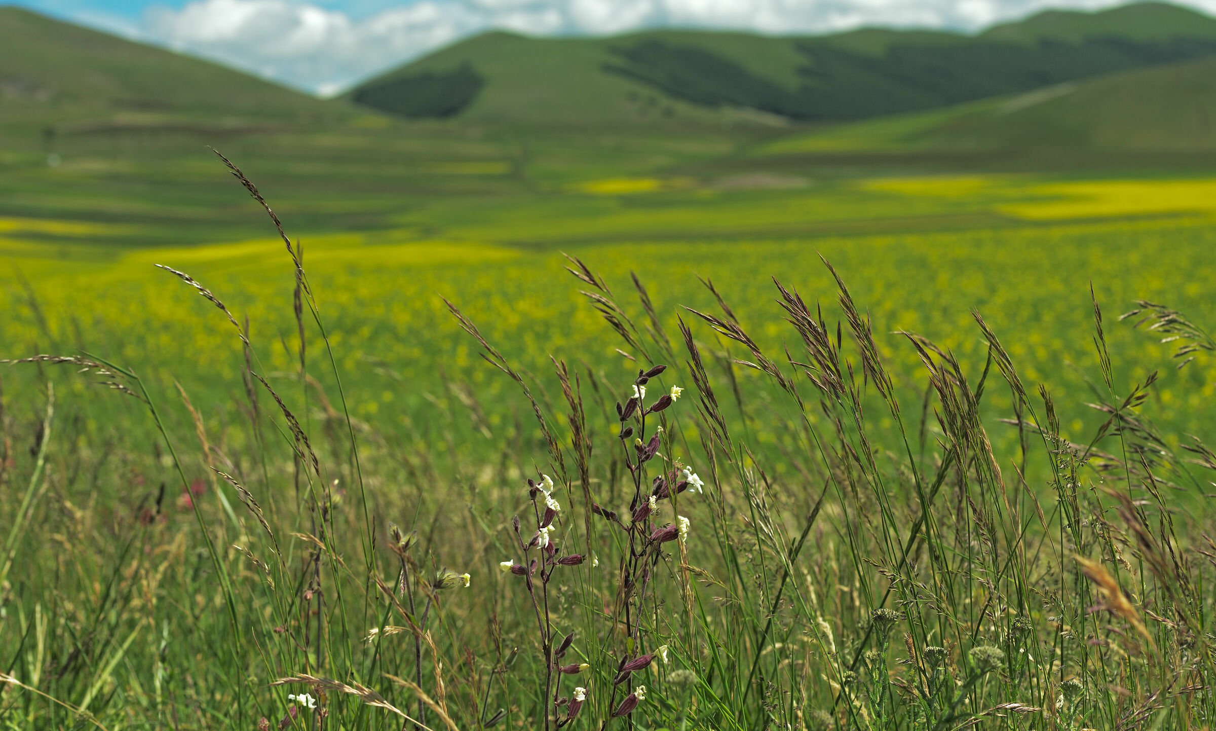 Castelluccio di Norcia