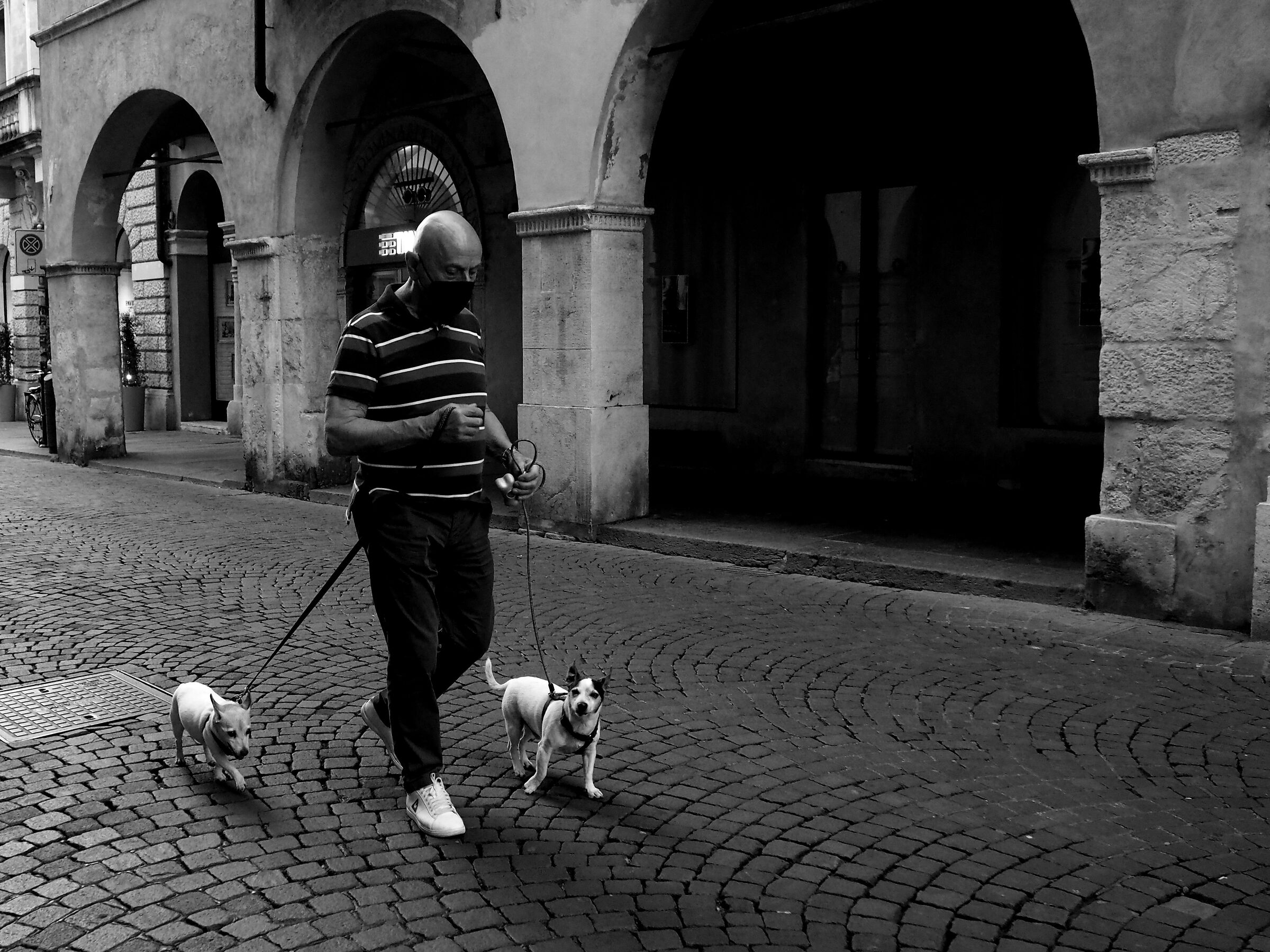 Walk