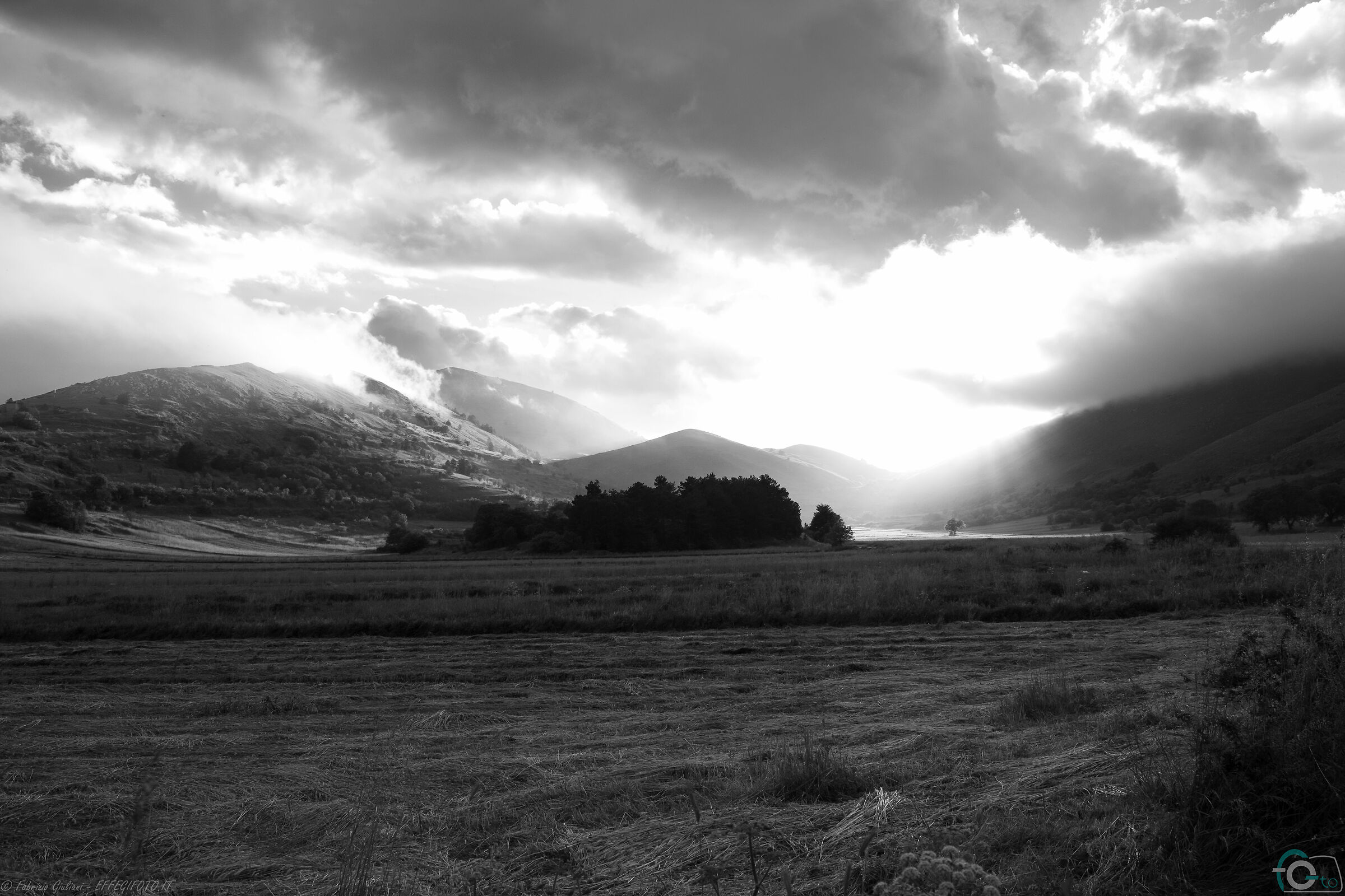 The Apple tree of Eden