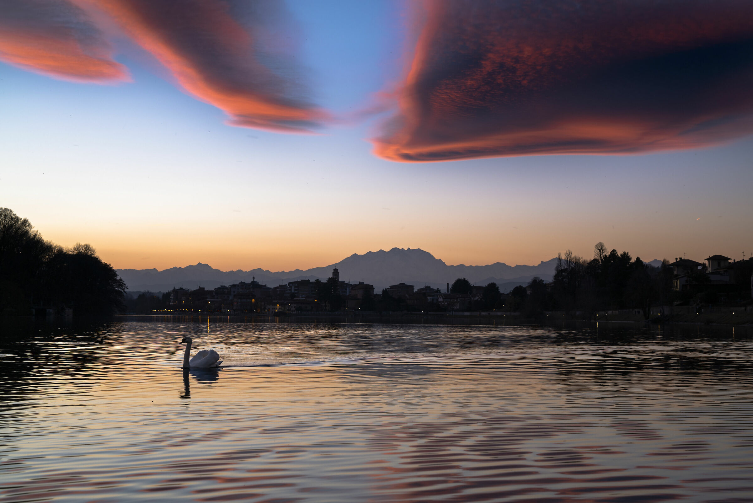 Il cigno e le lenticolari sul Ticino