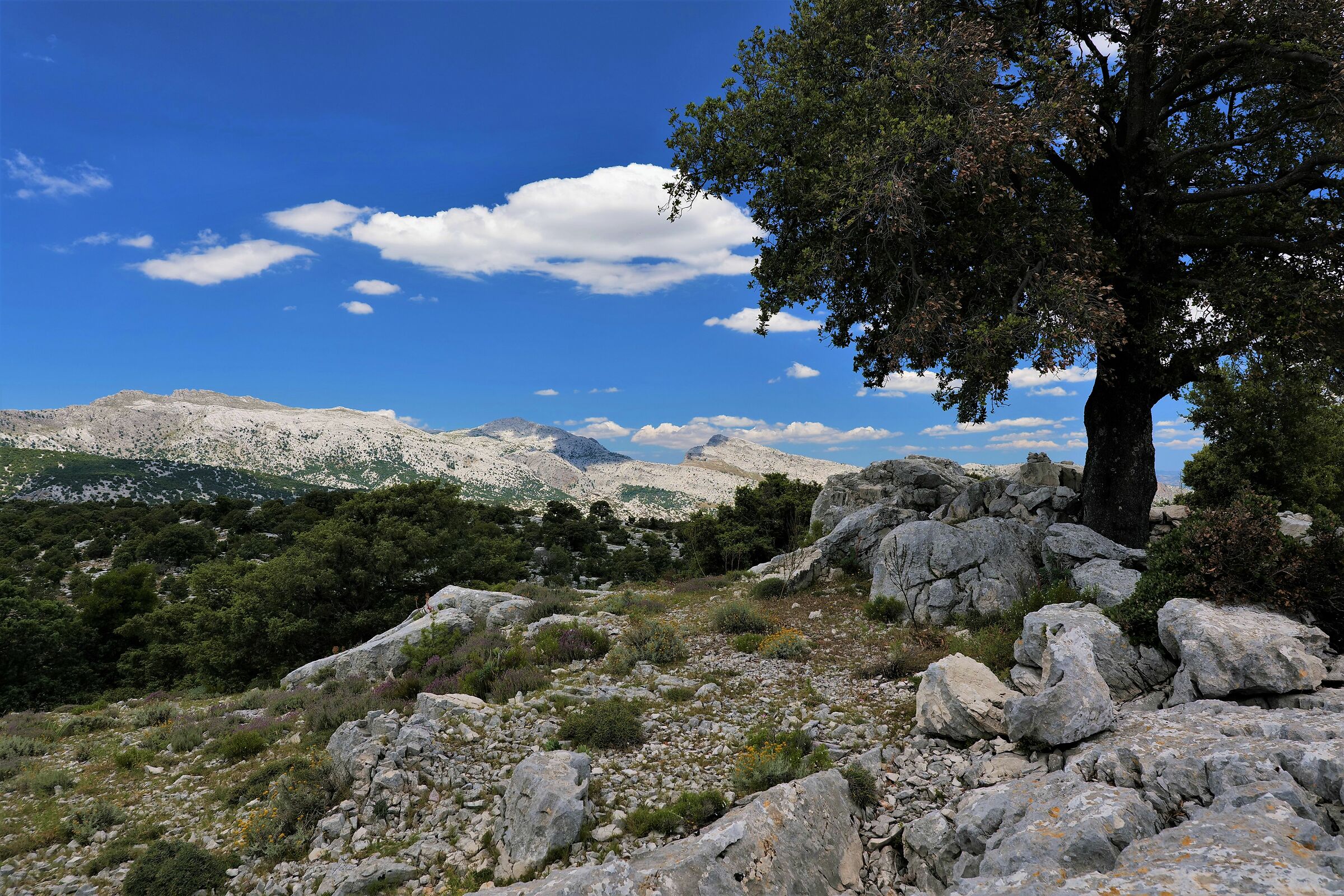 Nel cuore del Supramonte