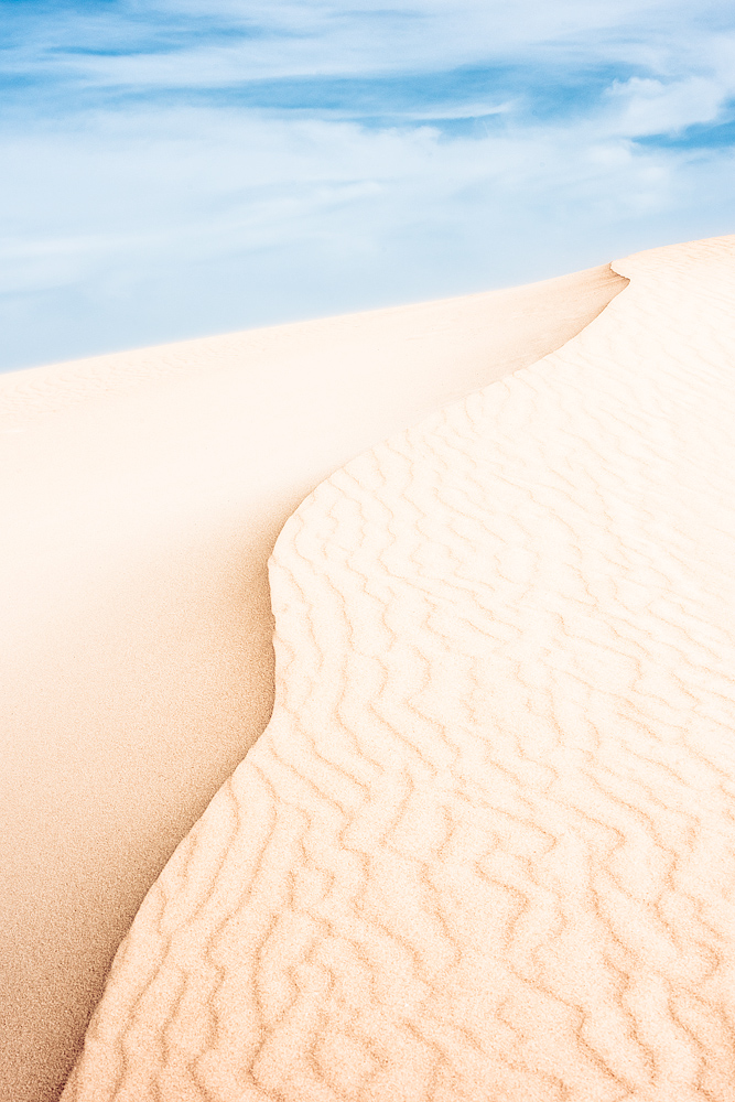 l'eleganza del vento