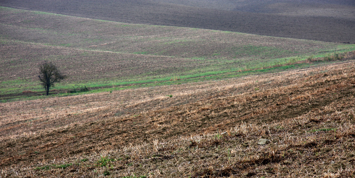 paesaggio toscano 2