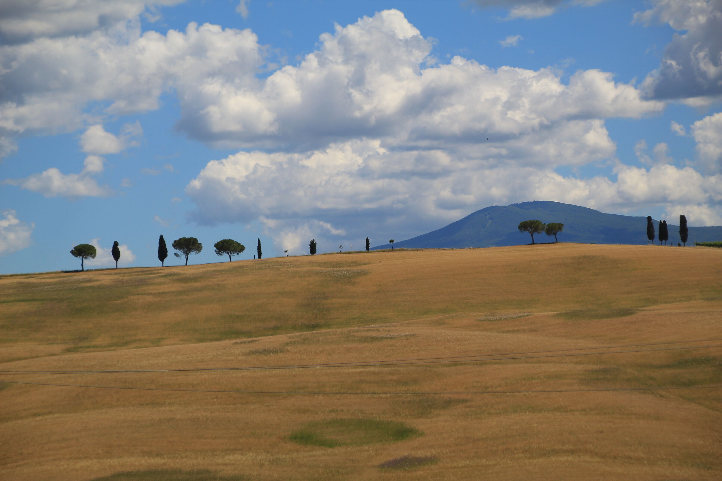 Torrenieri 20 Giugno 2020