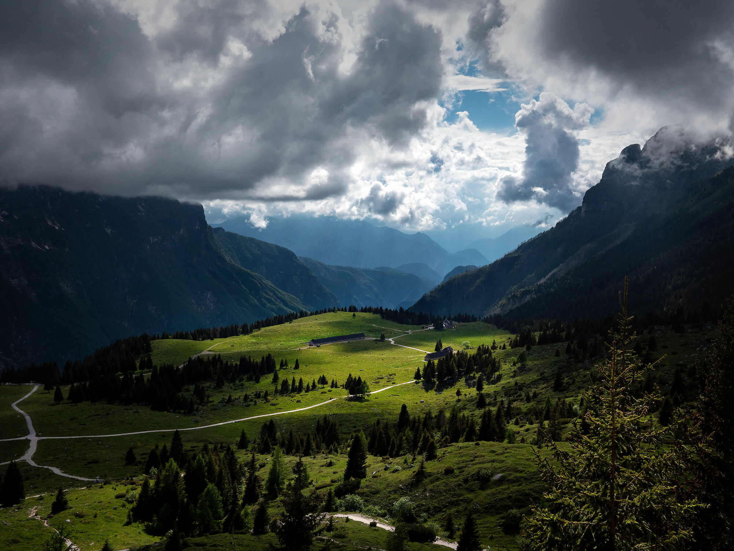 Altopiano del Montasio - Alpi Giulie - Italy
