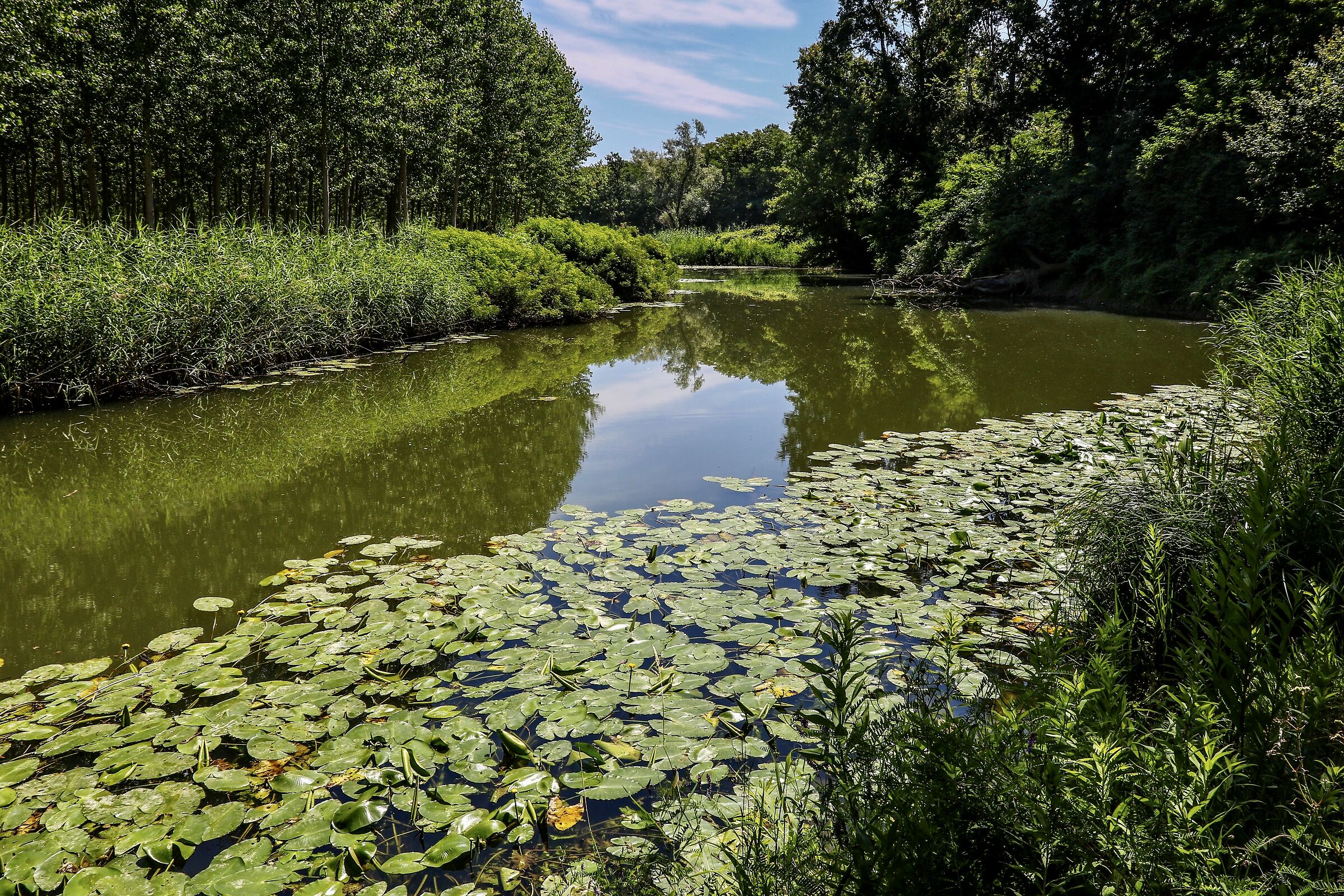 Tra lanche del Sesia.