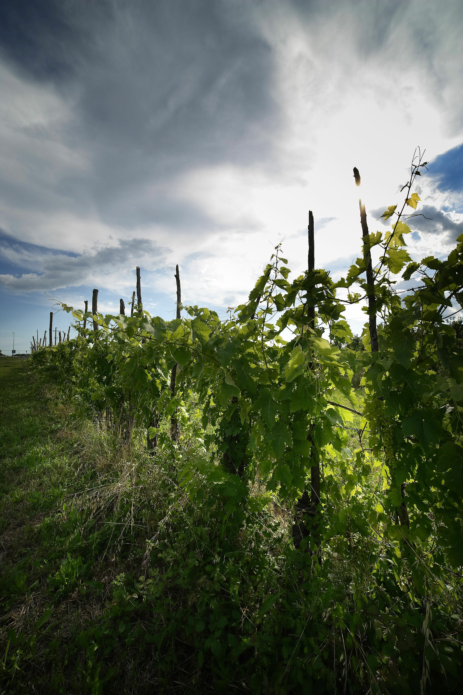 A handful of hours after the Summer Solstice