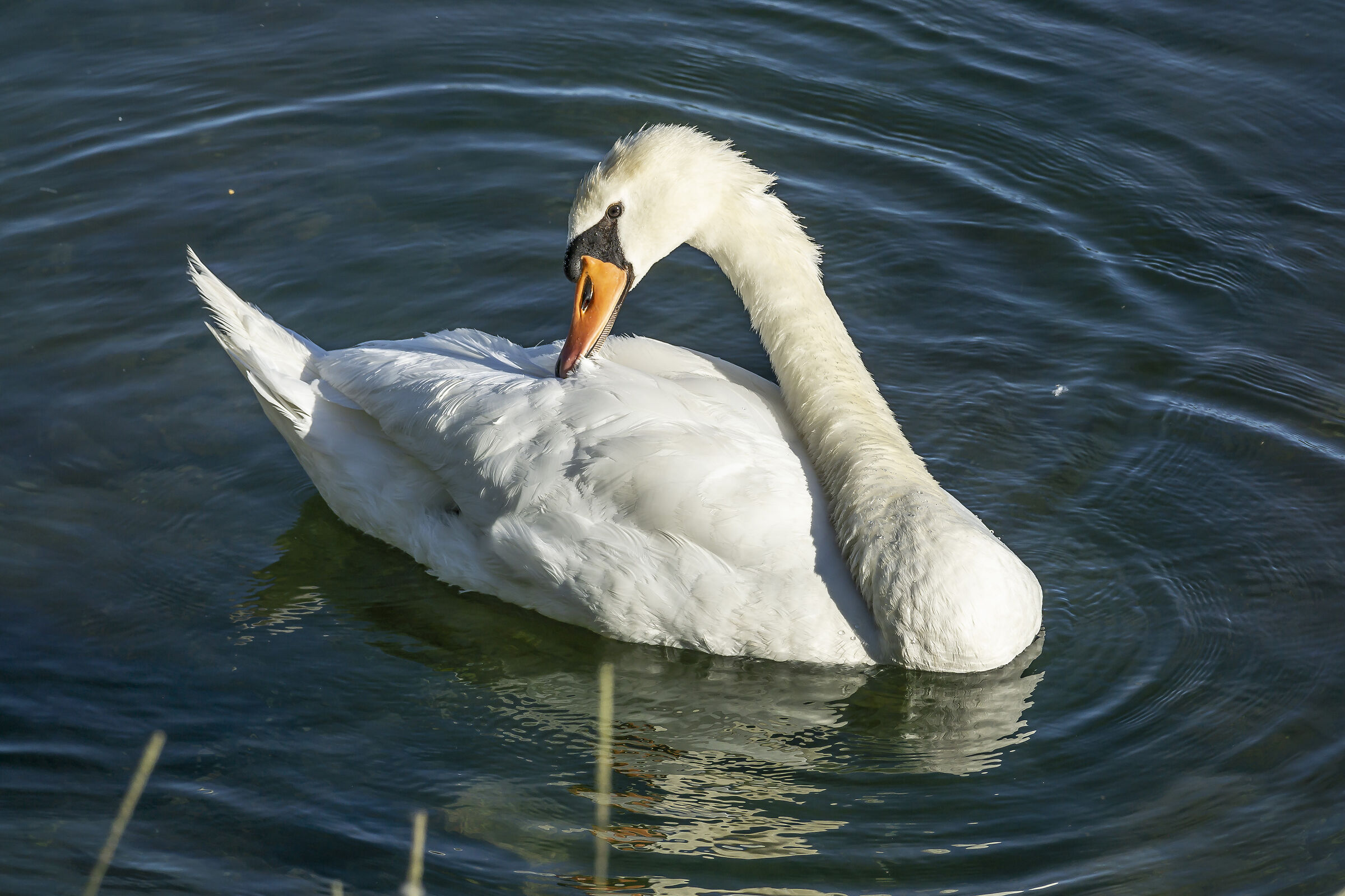 Sunday, June 21, 2020, 7:20:10 PM
