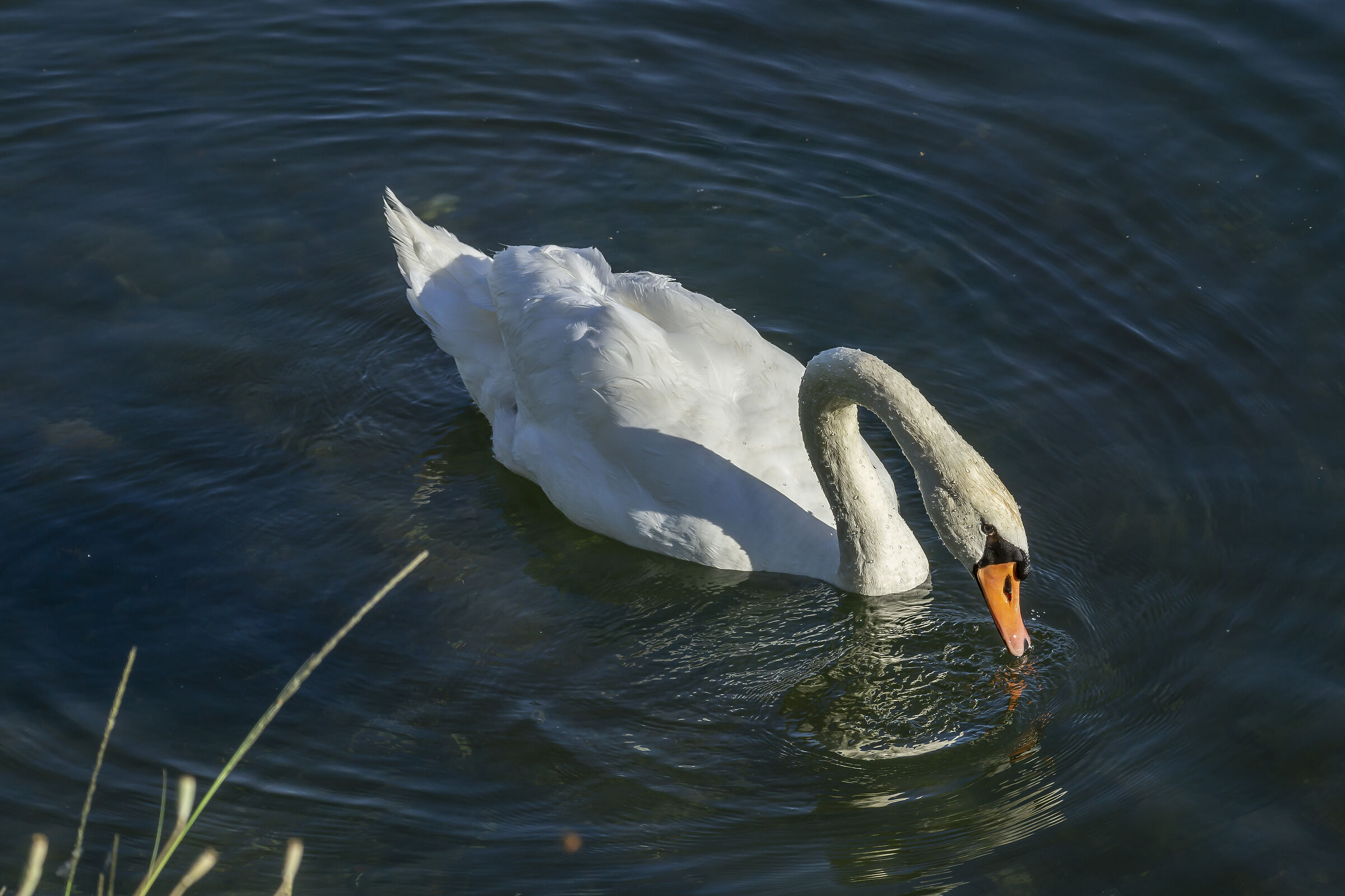 Sunday, June 21, 2020, 19:20:22