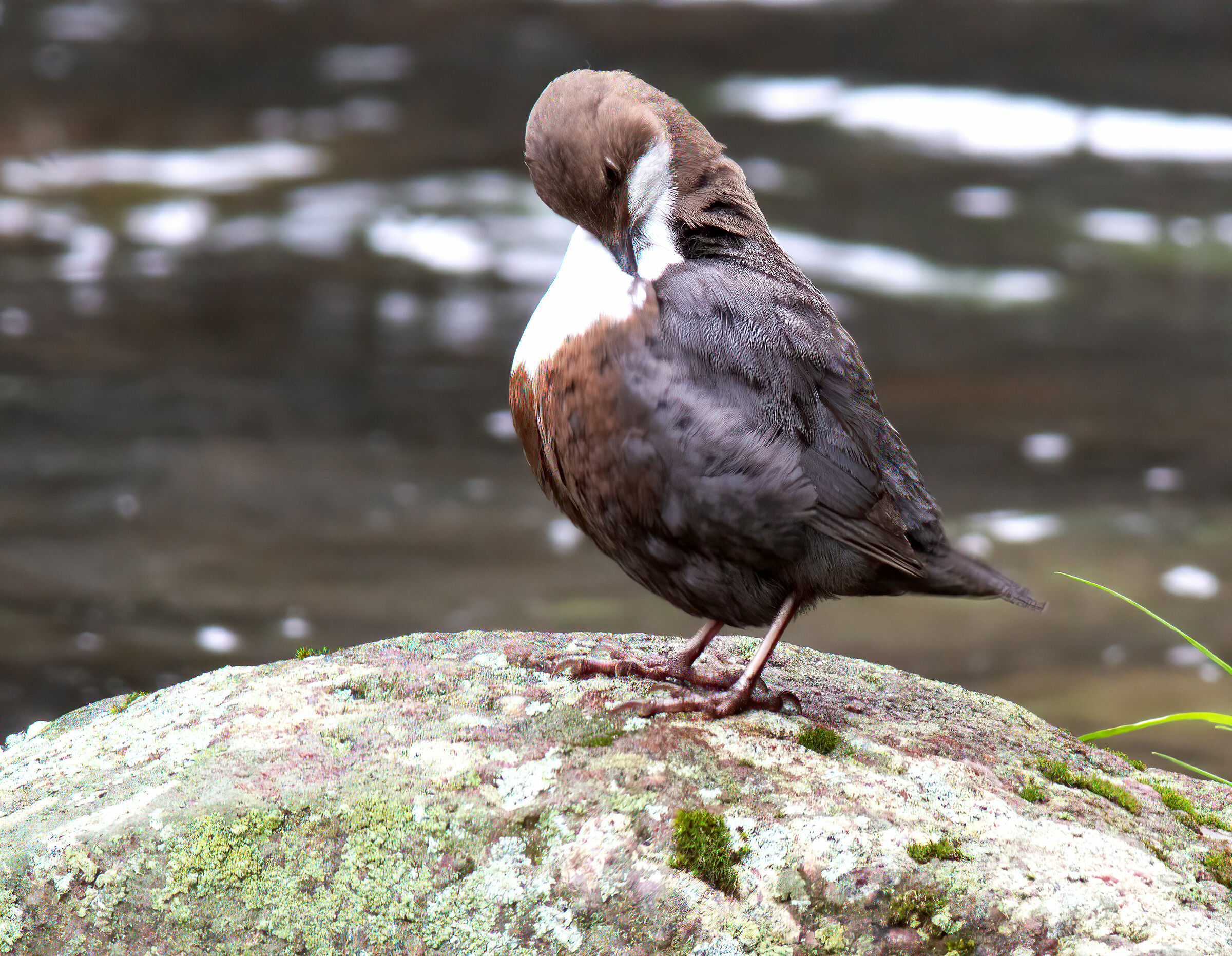 Una sistematina non guasta mai