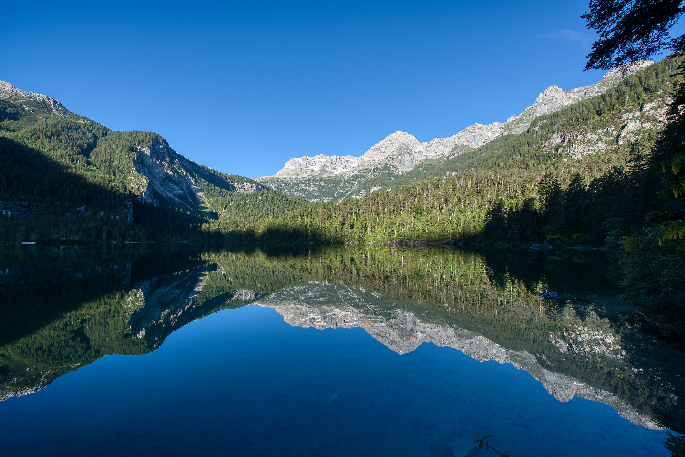 "natural reflections"