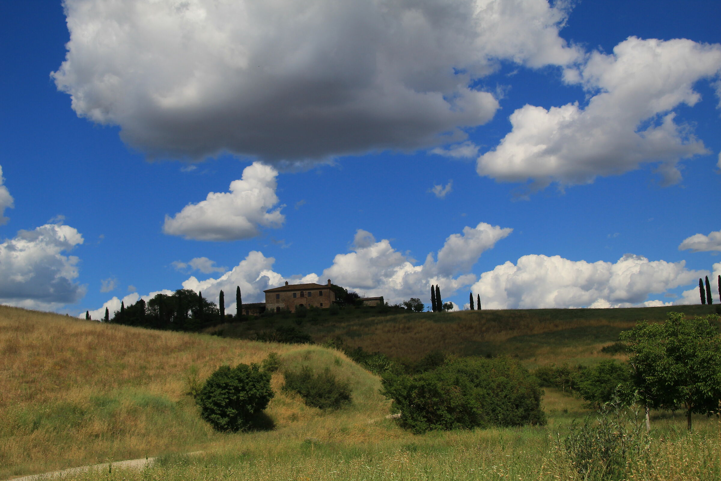 20 Giugno 2020