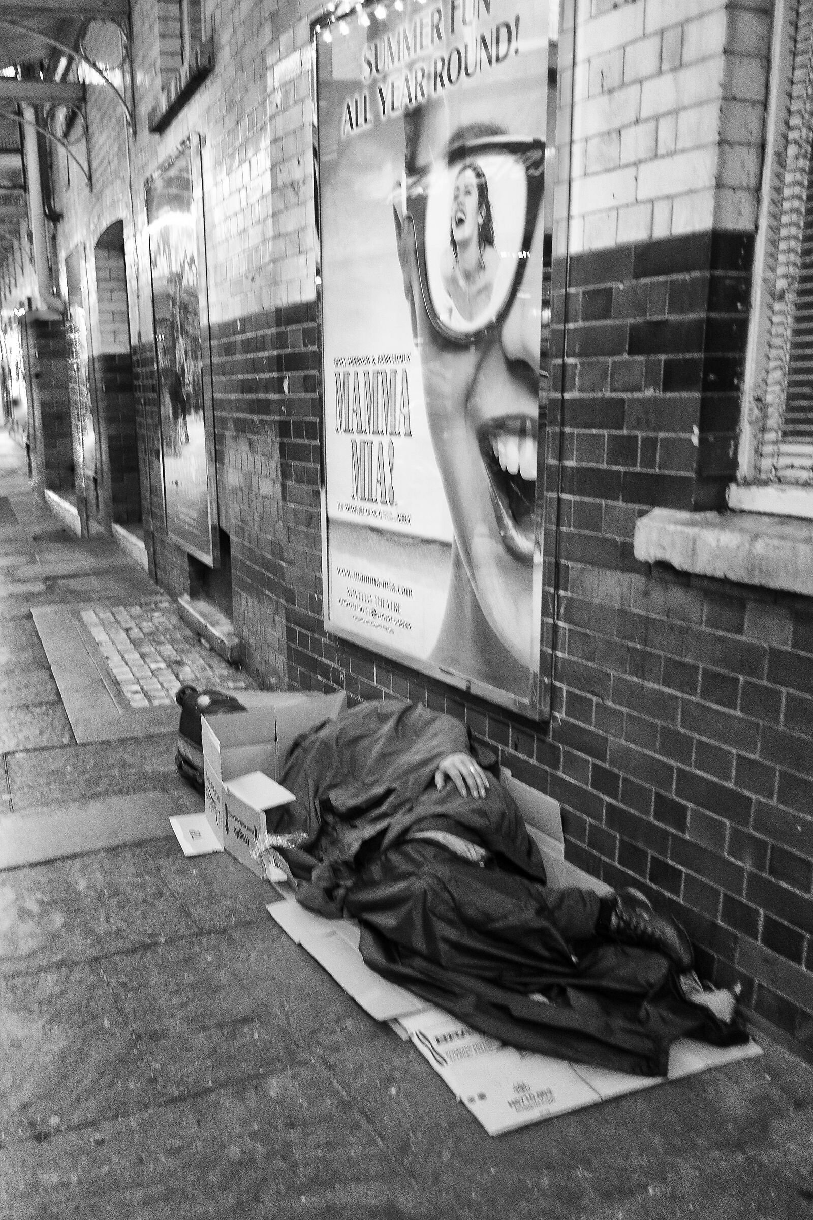 Carta Patinata e Cartone