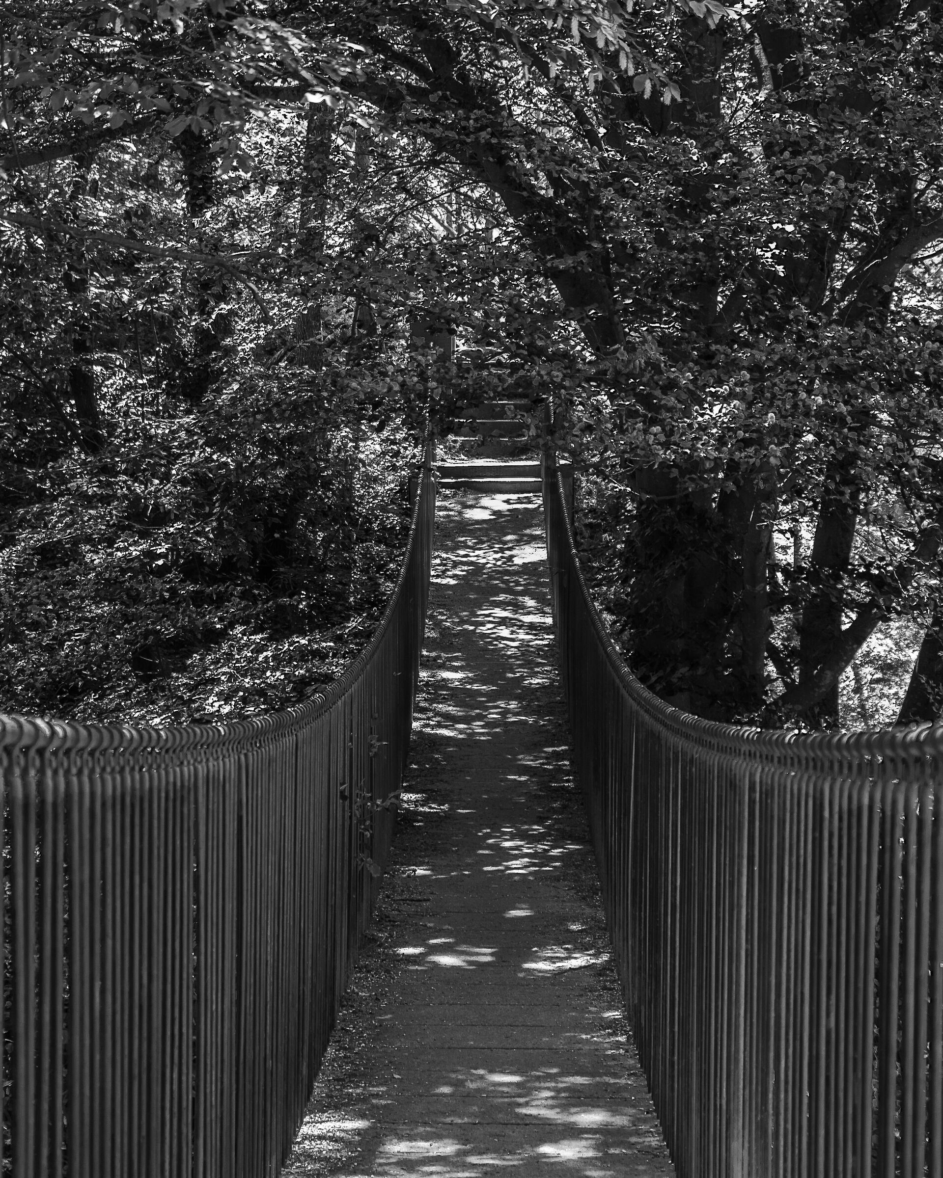 Ponte sopra il Canyon