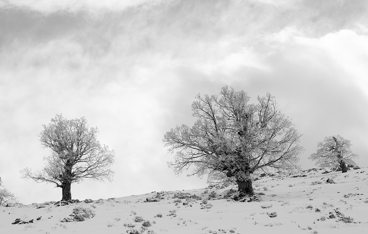 sulla neve del gennargentu