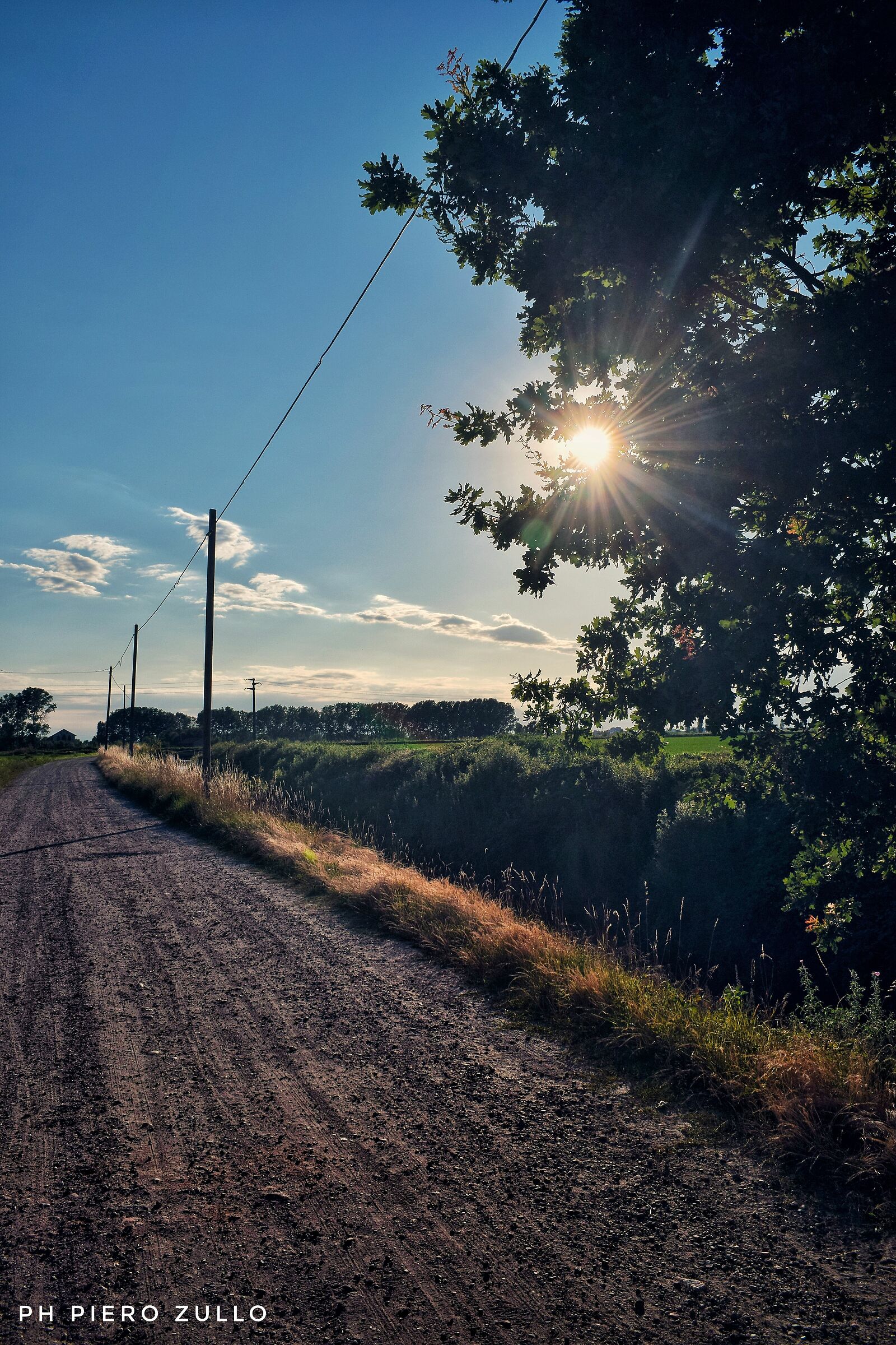 Strada di campagna
