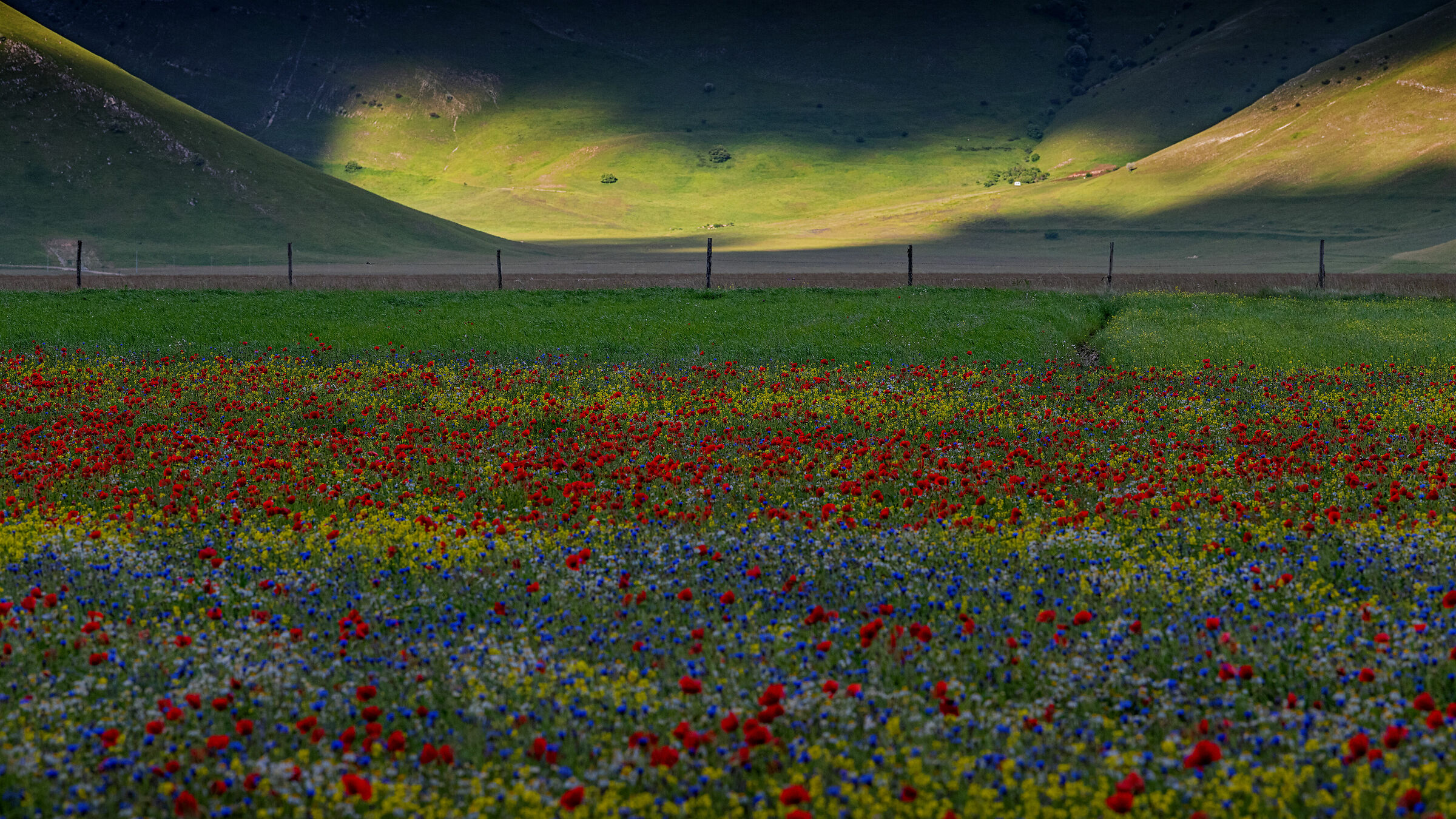 dark colours 22/06/2020