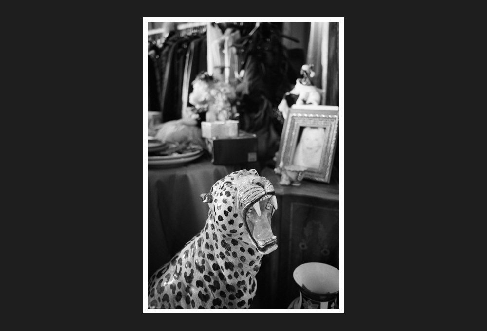 vintage a bussana vecchia, 2013