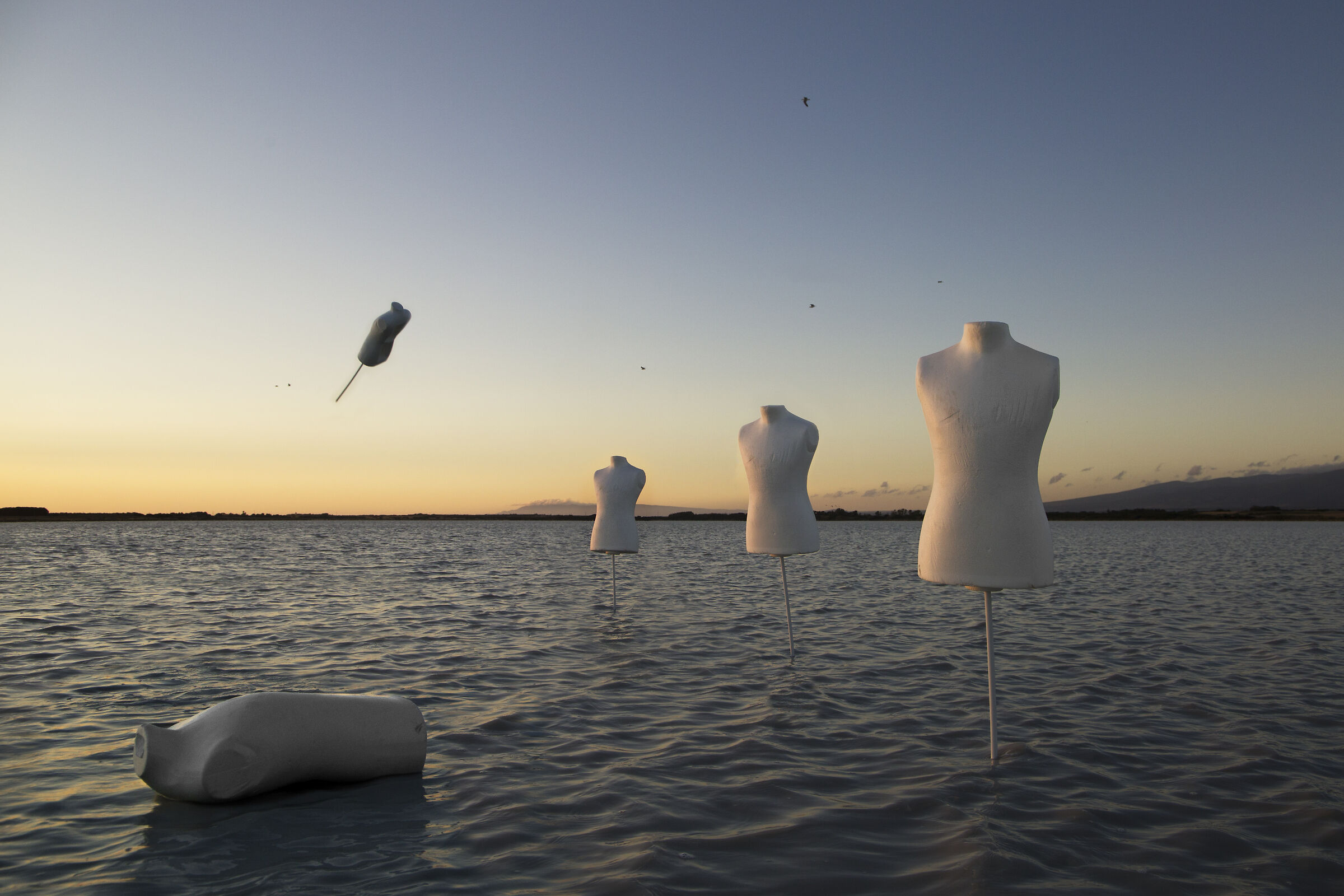 Tribute to Storm Thorgerson