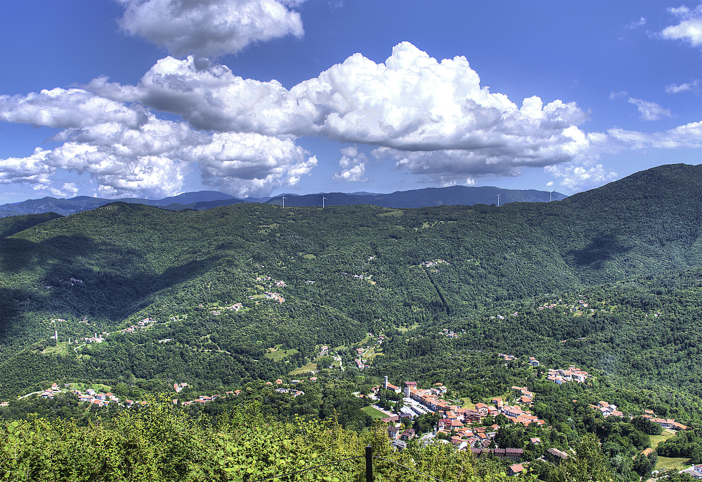 Panorama Viola saint gree