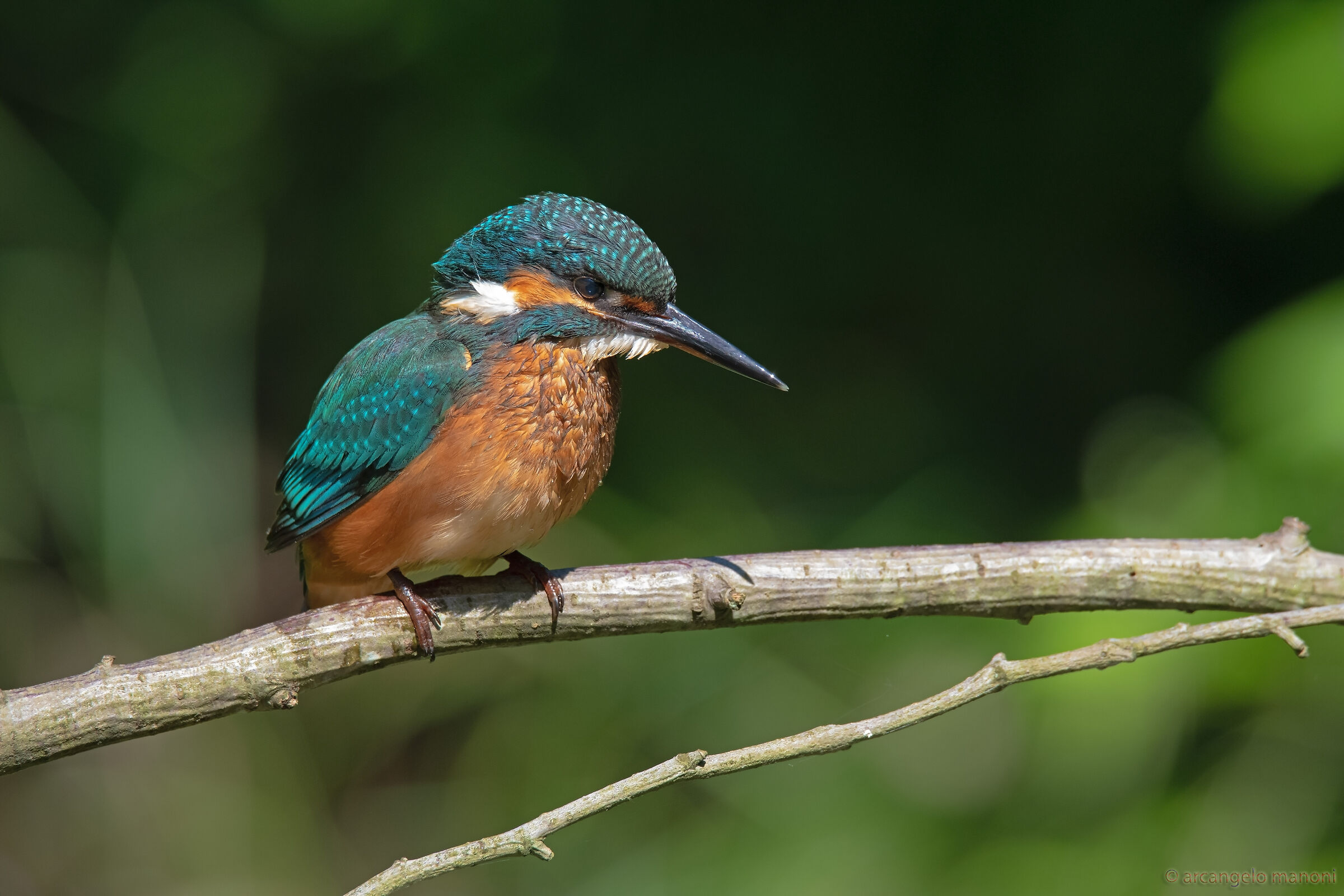 The after-bath intoxication