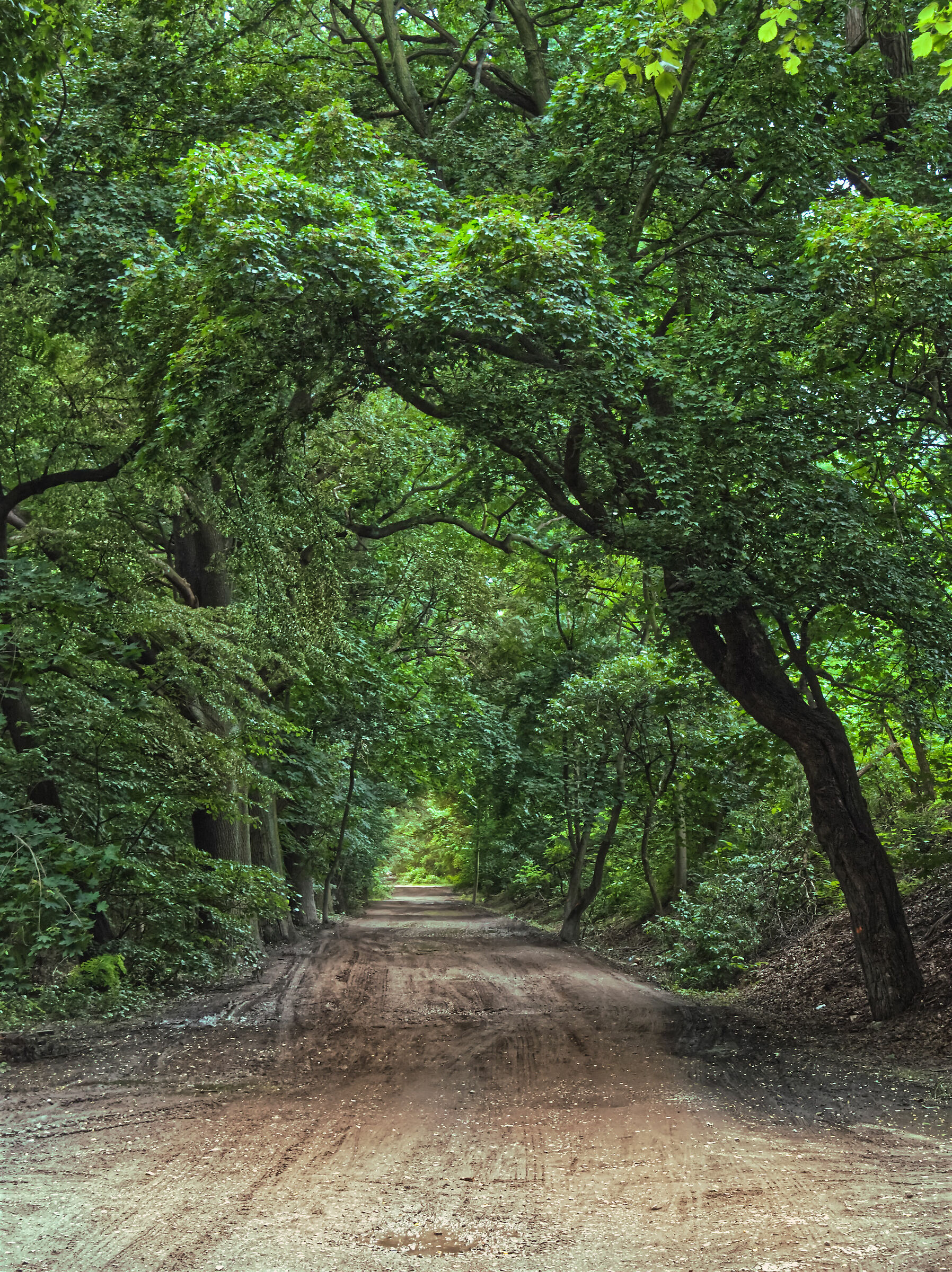 La strada di ghiaia a Wroclaw