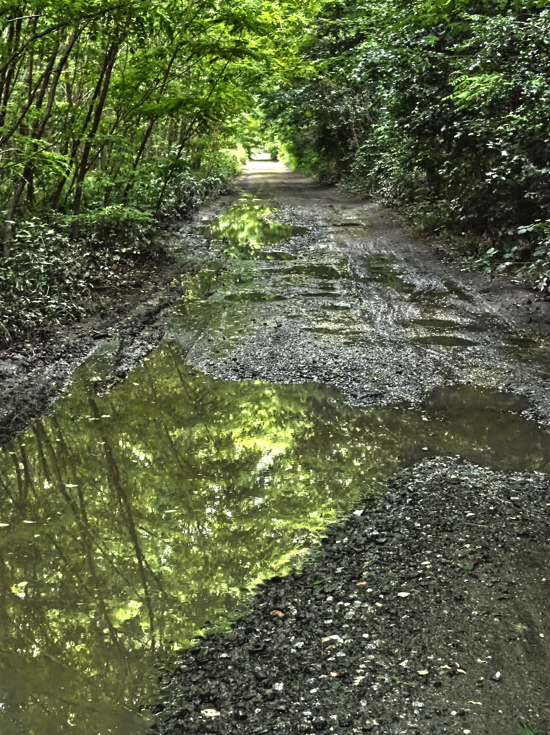 La strada - dopo la tempesta